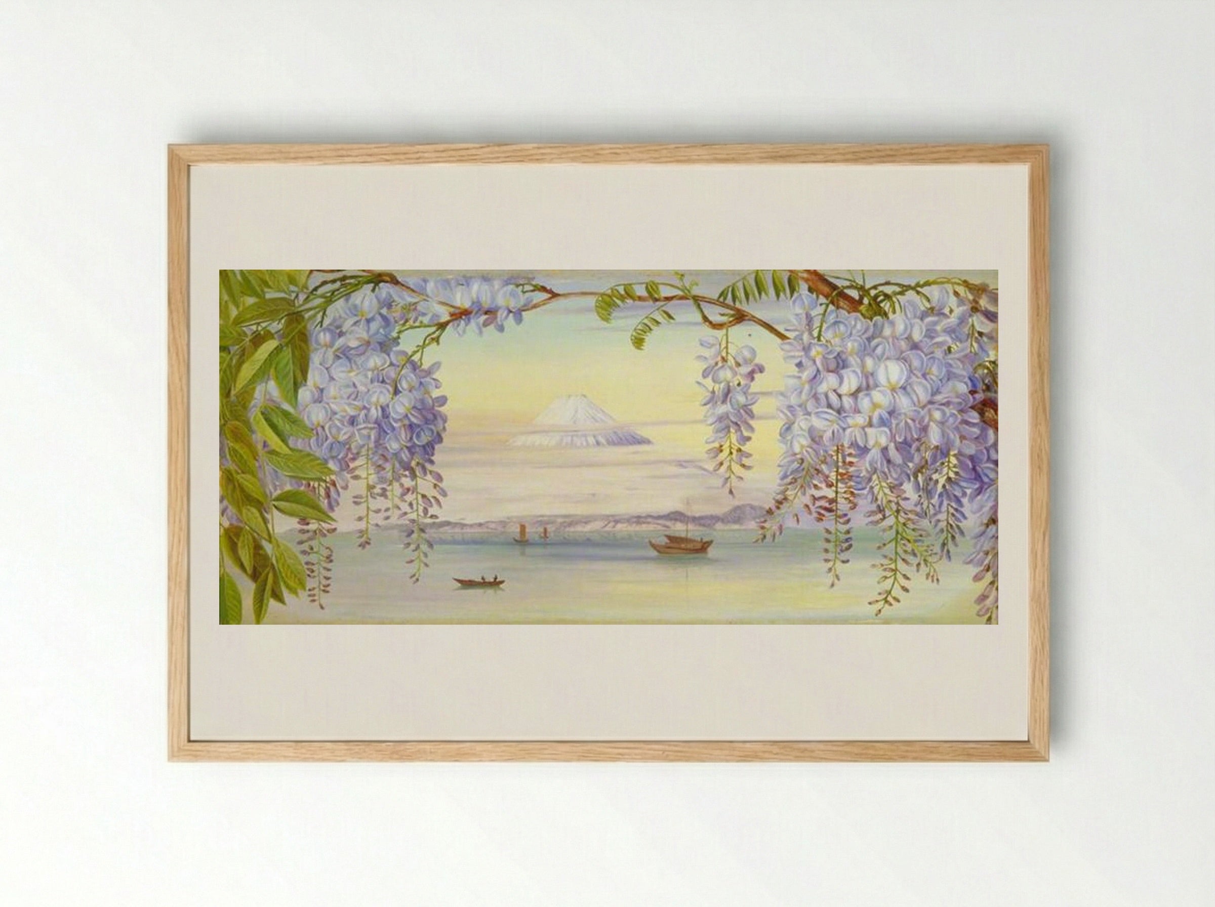 Distant View of Mount Fujiyama, Japan, and Wistaria - Marianne North - Framed Print Wood