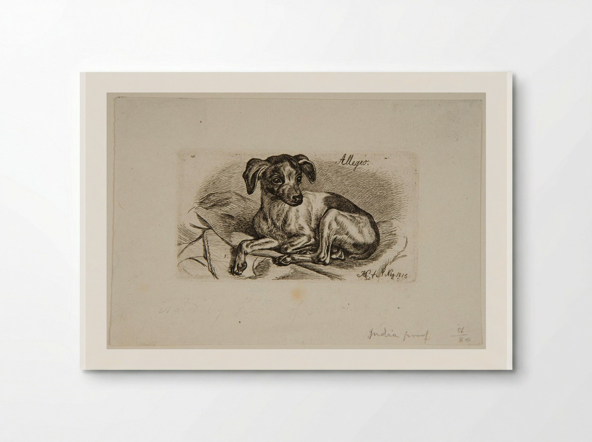 Dog, Allegro - Johann Adam Klein - Poster