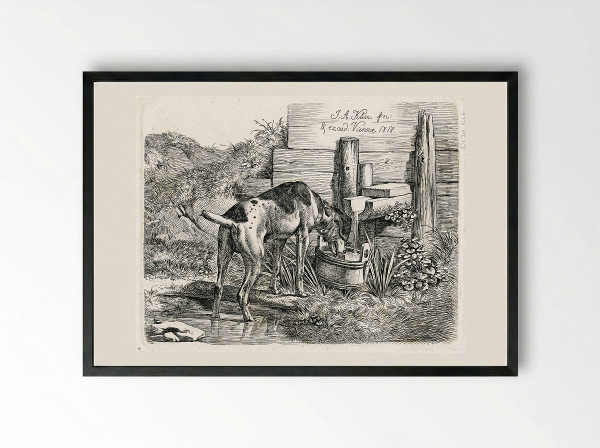 Dog Drinking - Johann Adam Klein - Framed Print Black