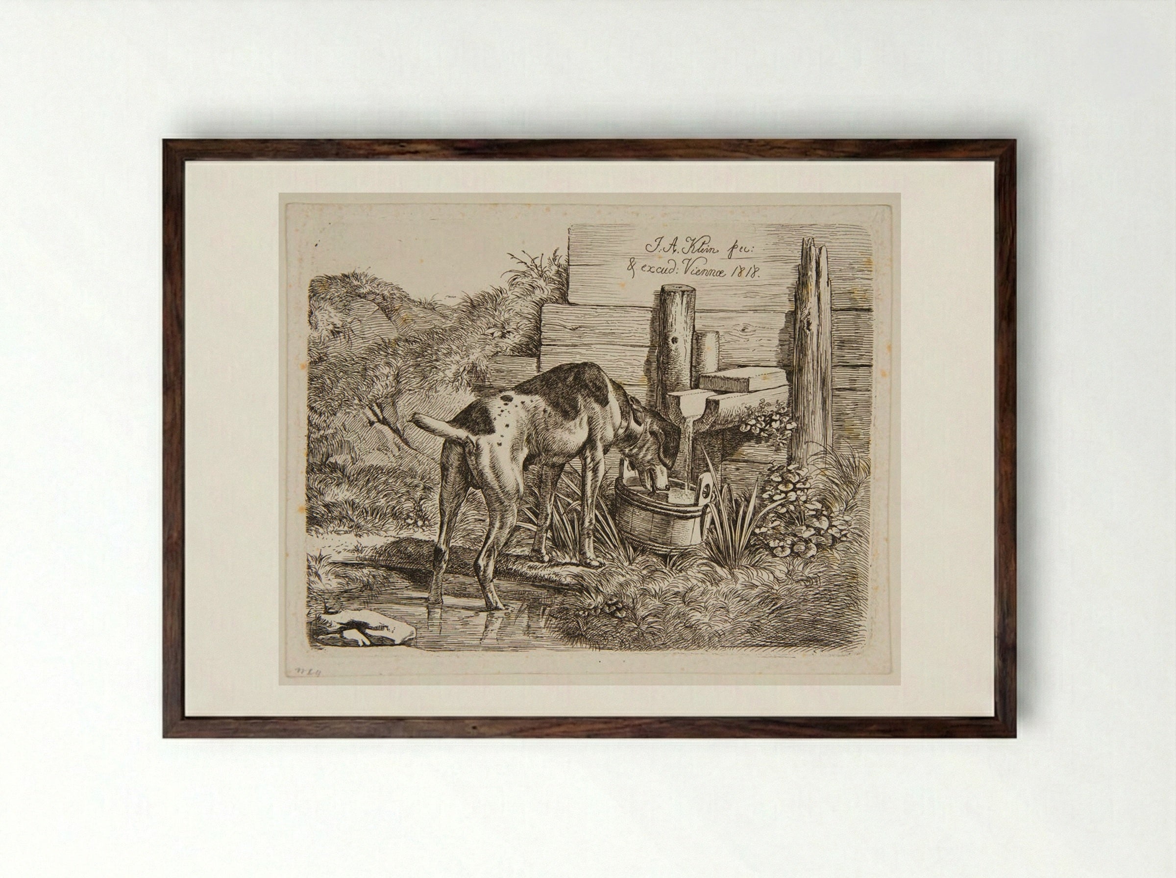 Dog Drinking - Johann Adam Klein - Framed Print Dark Wood