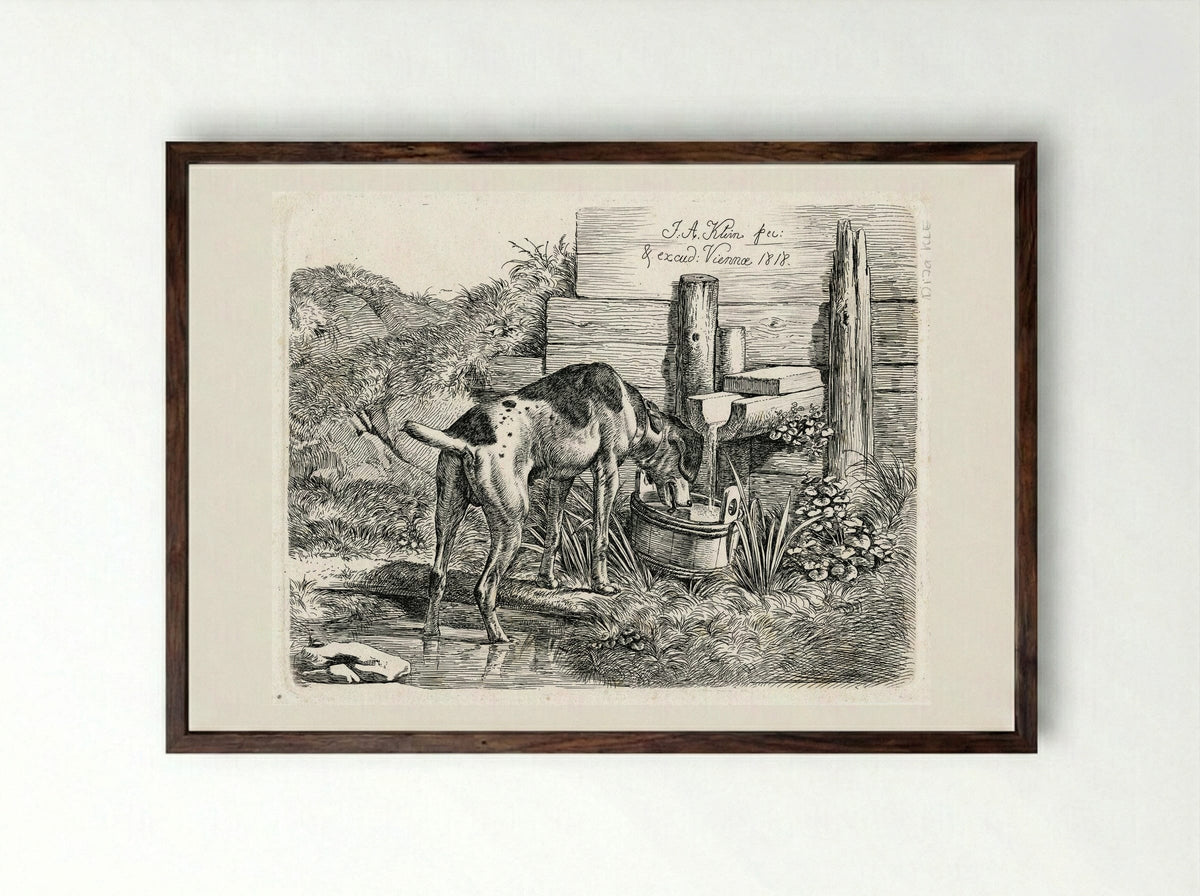 Dog Drinking - Johann Adam Klein - Framed Print Dark Wood