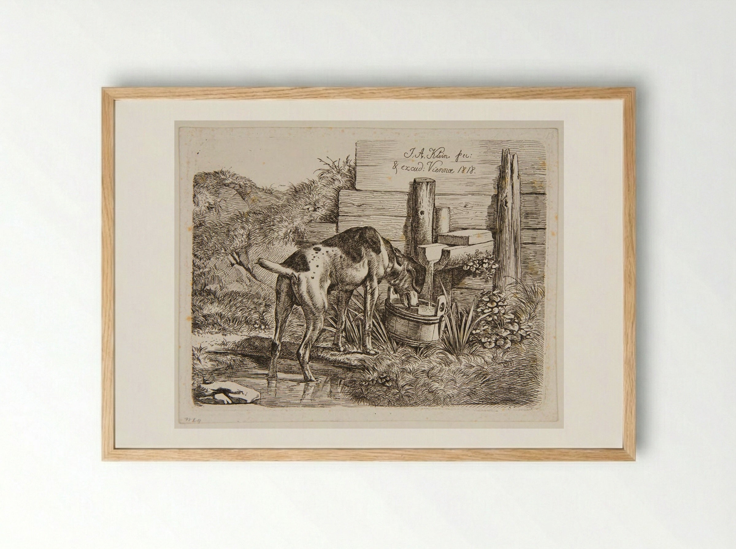 Dog Drinking - Johann Adam Klein - Framed Print Wood
