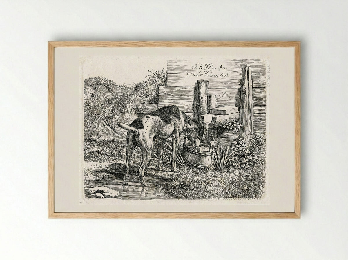 Dog Drinking - Johann Adam Klein - Framed Print Wood