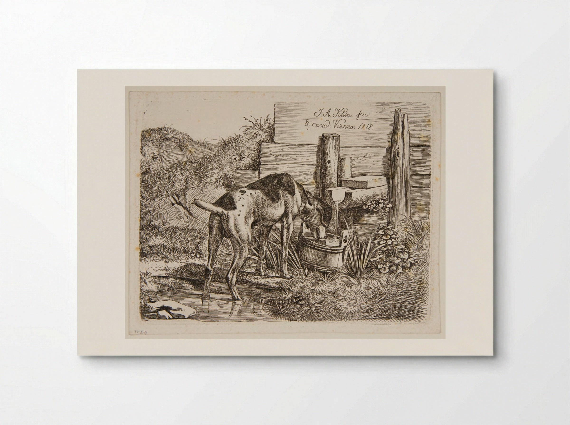 Dog Drinking - Johann Adam Klein - Poster