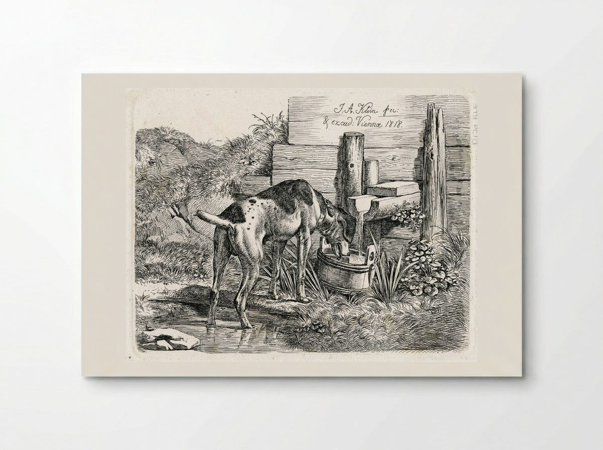 Dog Drinking - Johann Adam Klein - Poster
