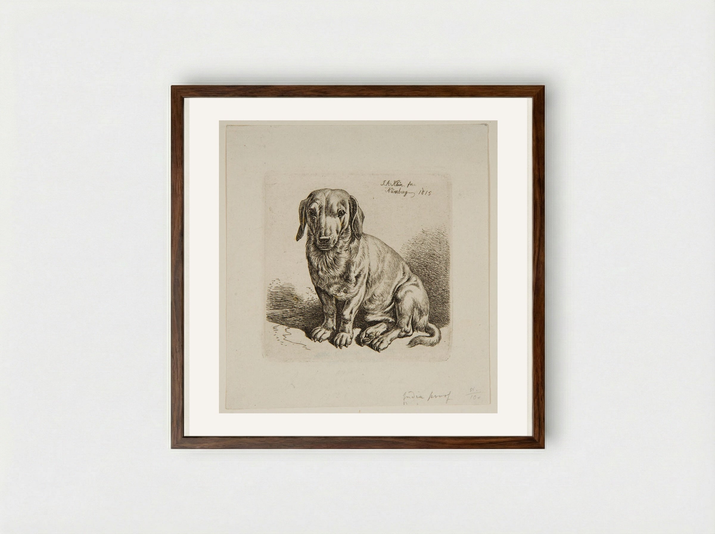 Dog (Etching) - Johann Adam Klein - Framed Print Dark Wood