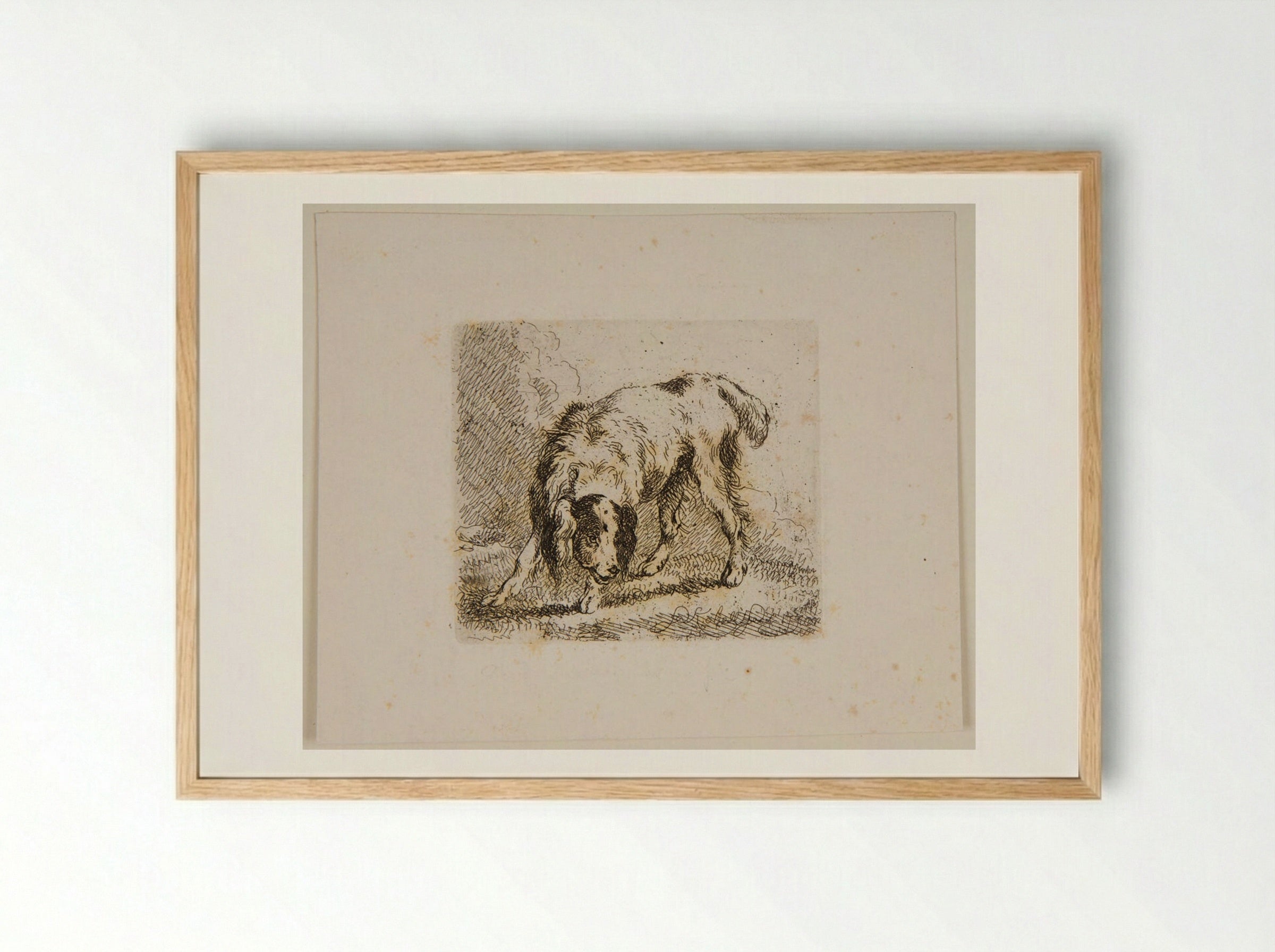 Dog (Etching) - Ferdinand Kobell - Framed Print Wood