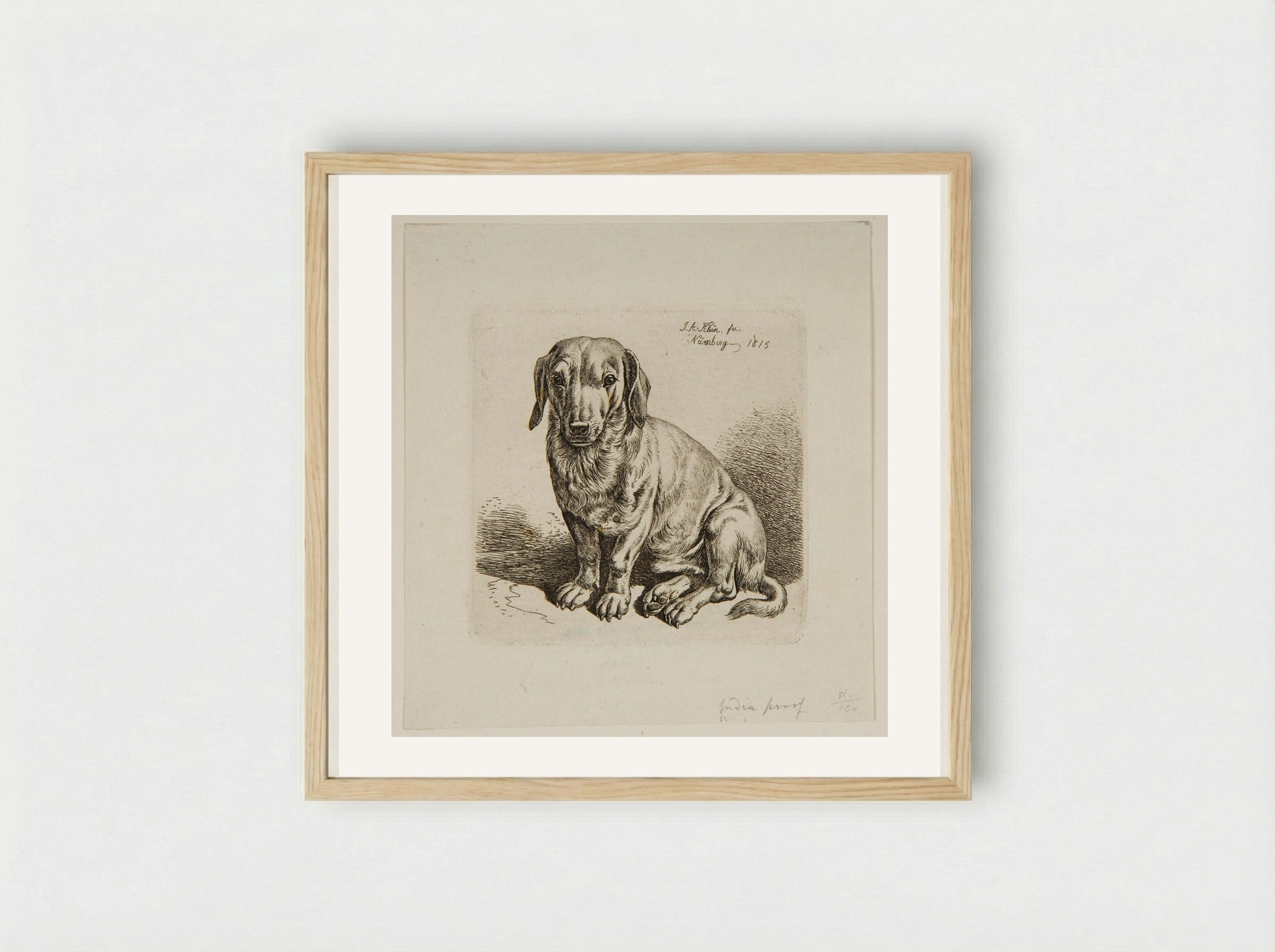 Dog (Etching) - Johann Adam Klein - Framed Print Wood