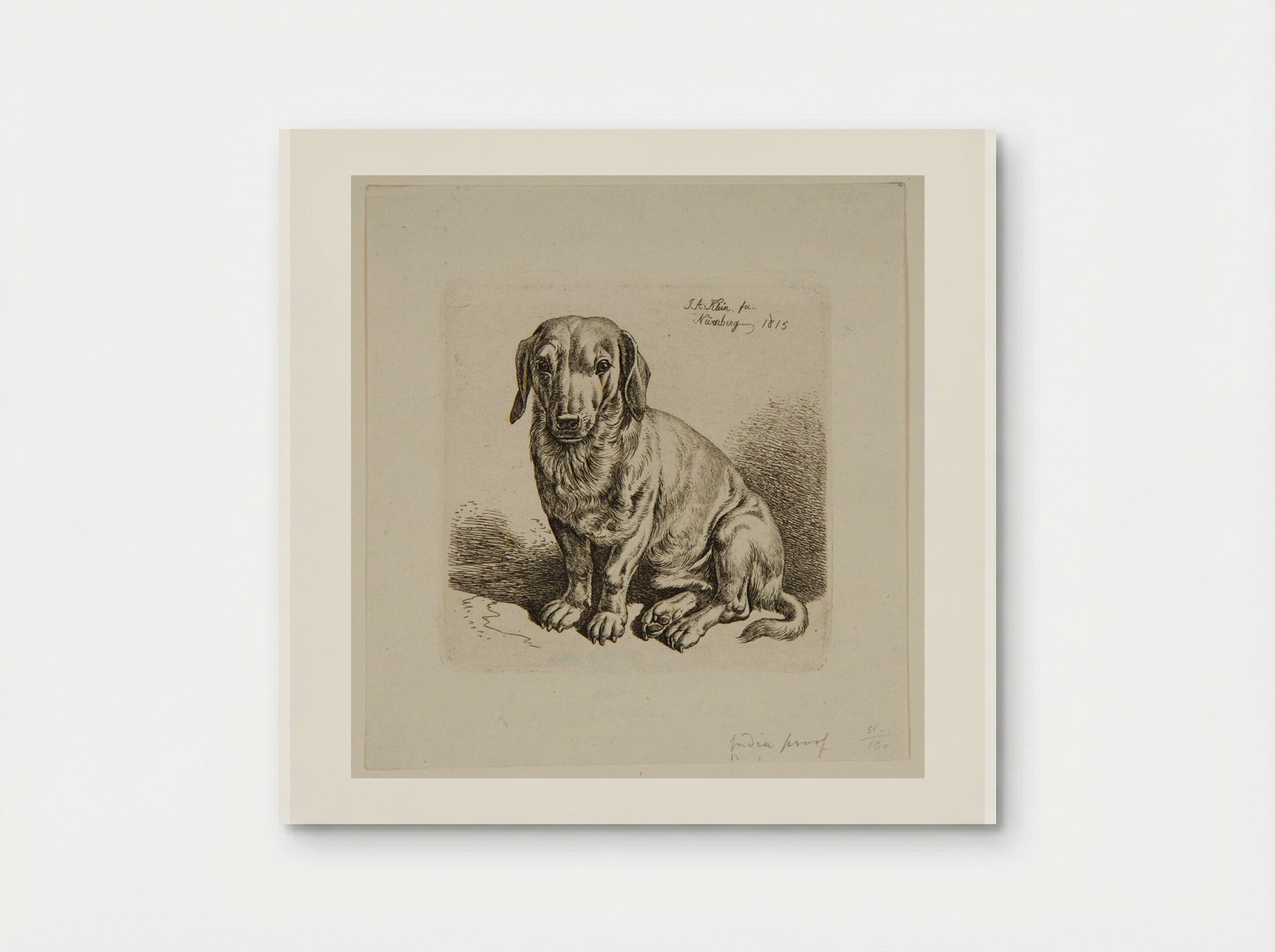 Dog (Etching) - Johann Adam Klein - Poster
