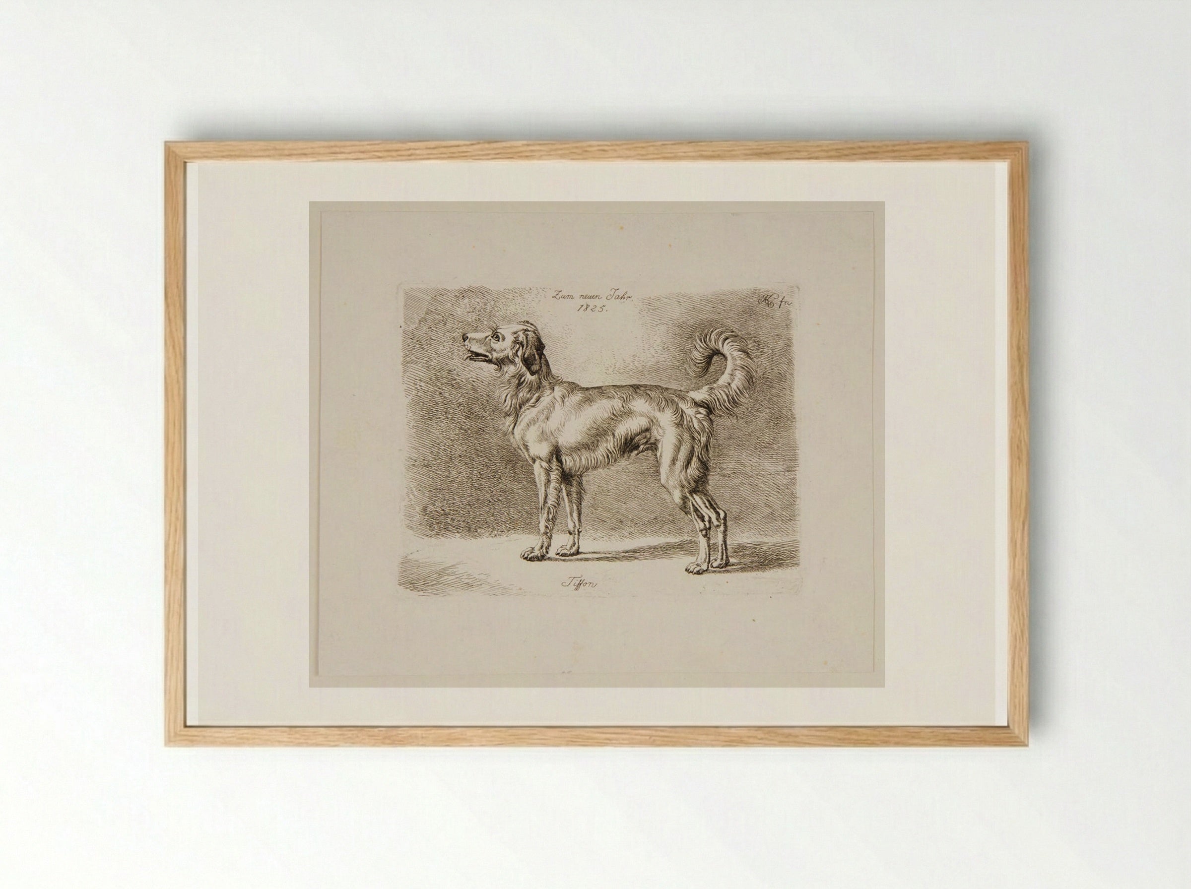 Dog, Tiffon - Johann Adam Klein - Framed Print Wood