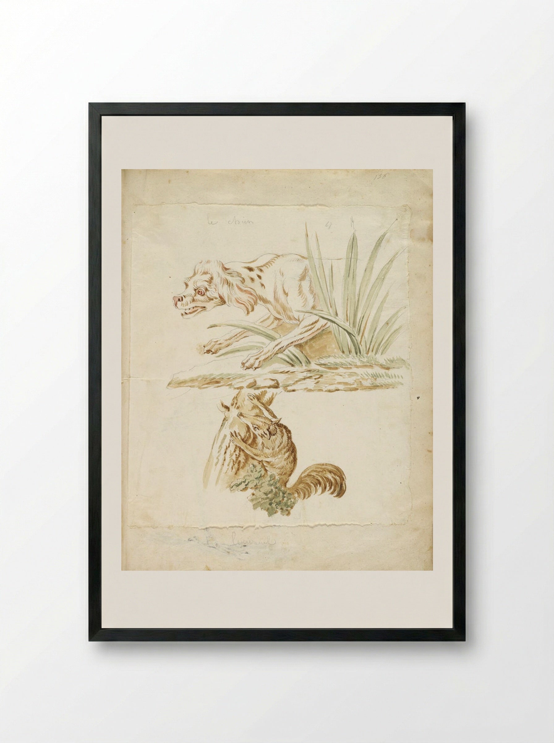 Dog and Squirrel - Jean-Baptiste Oudry - Framed Print Black