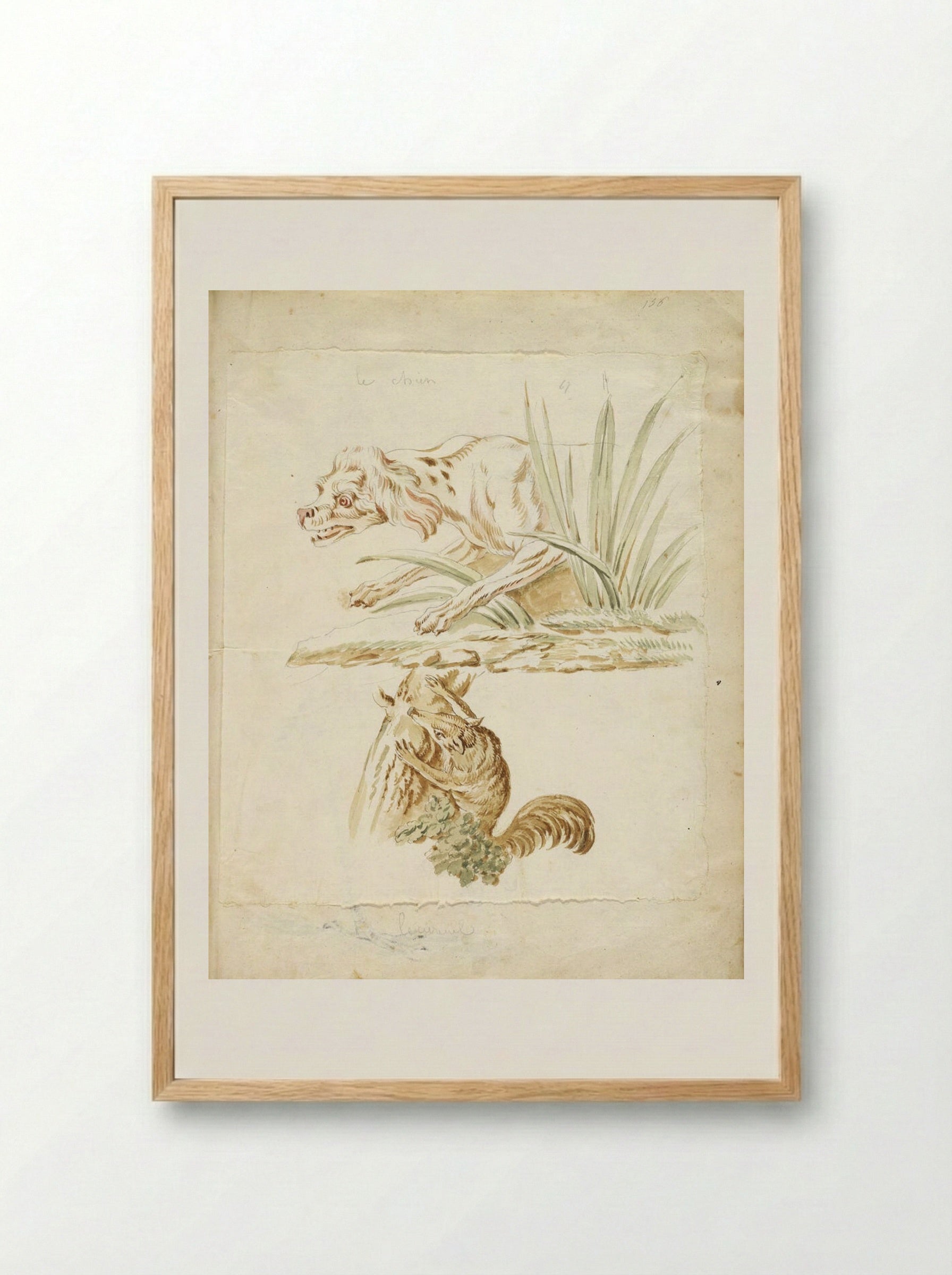 Dog and Squirrel - Jean-Baptiste Oudry - Framed Print Wood