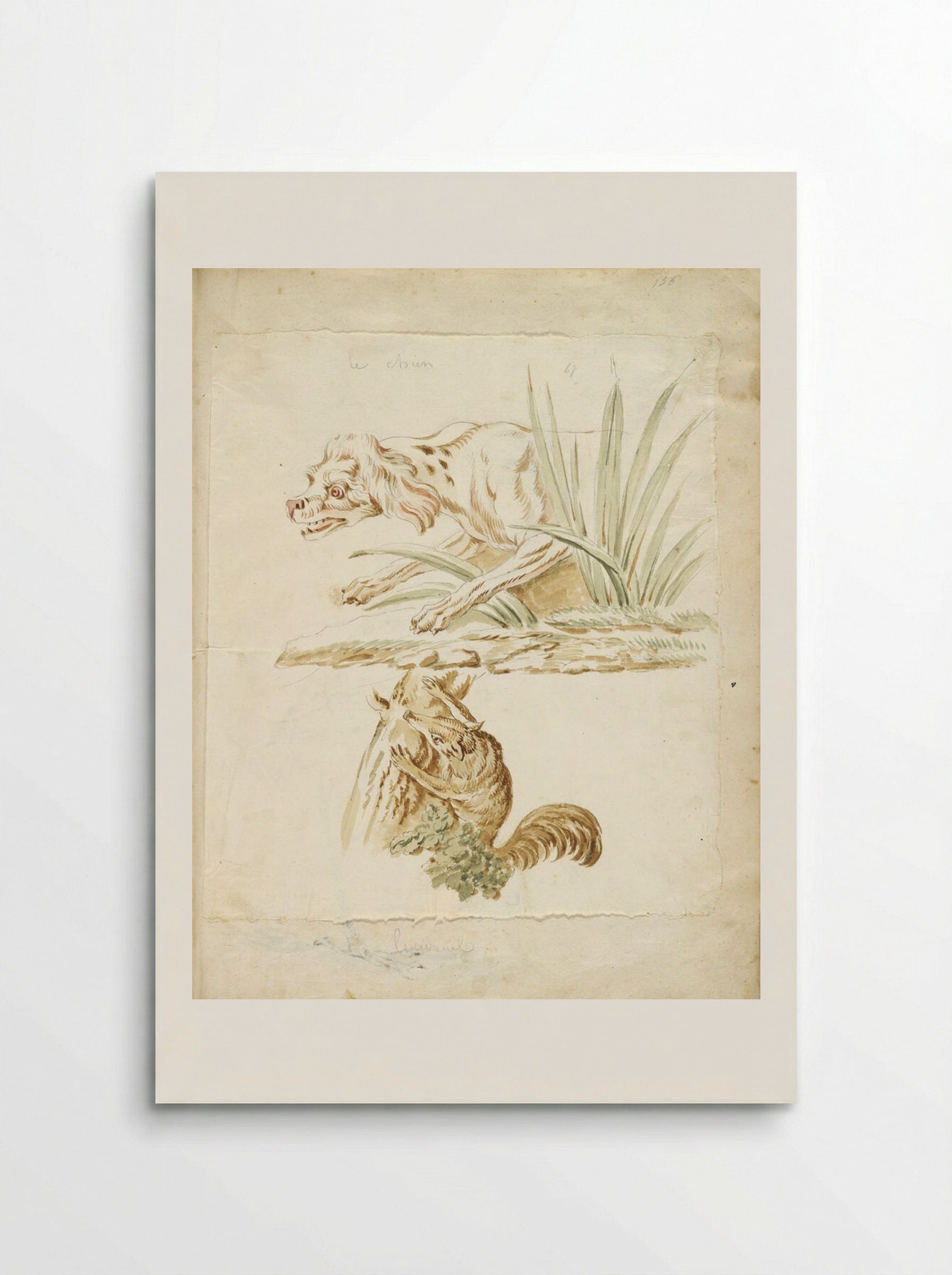 Dog and Squirrel - Jean-Baptiste Oudry - Poster