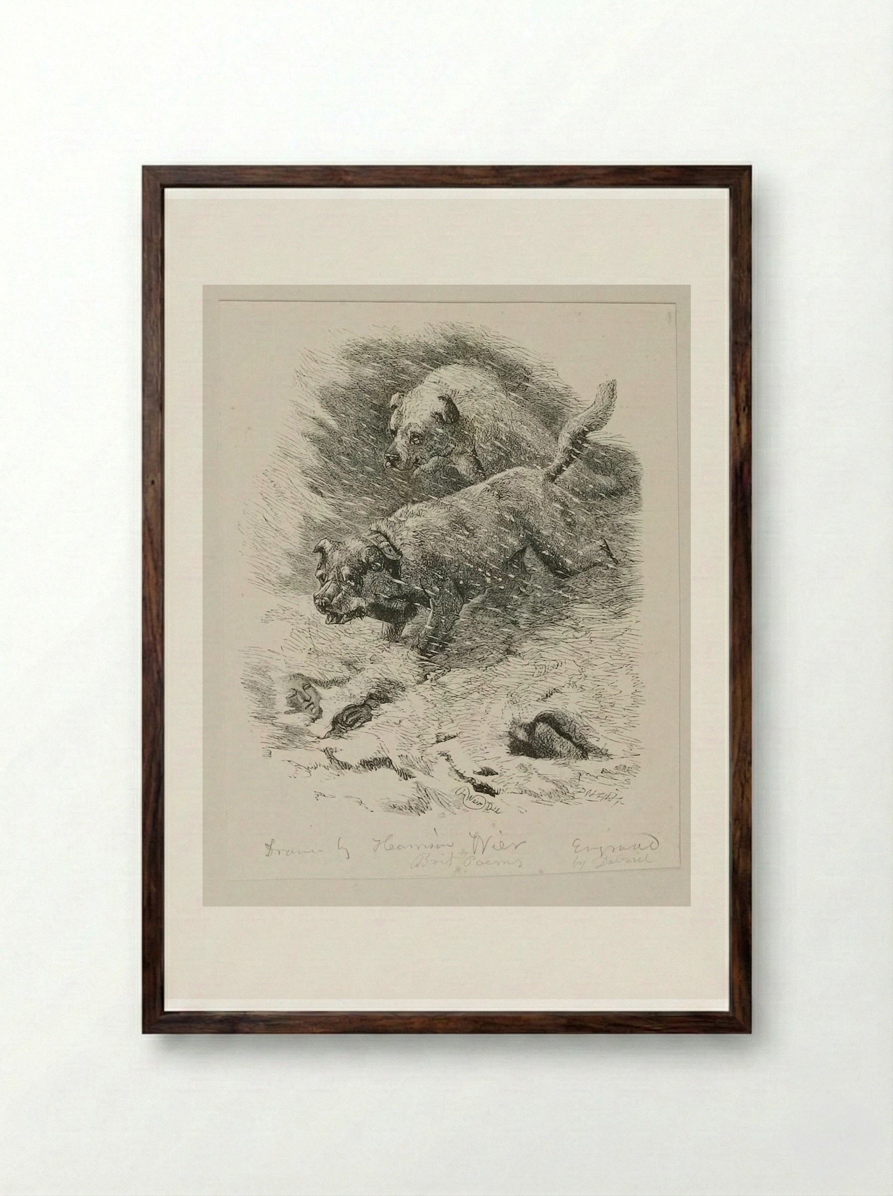 Dogs of S. Bernard - Edward Dalziel - Framed Print Dark Wood
