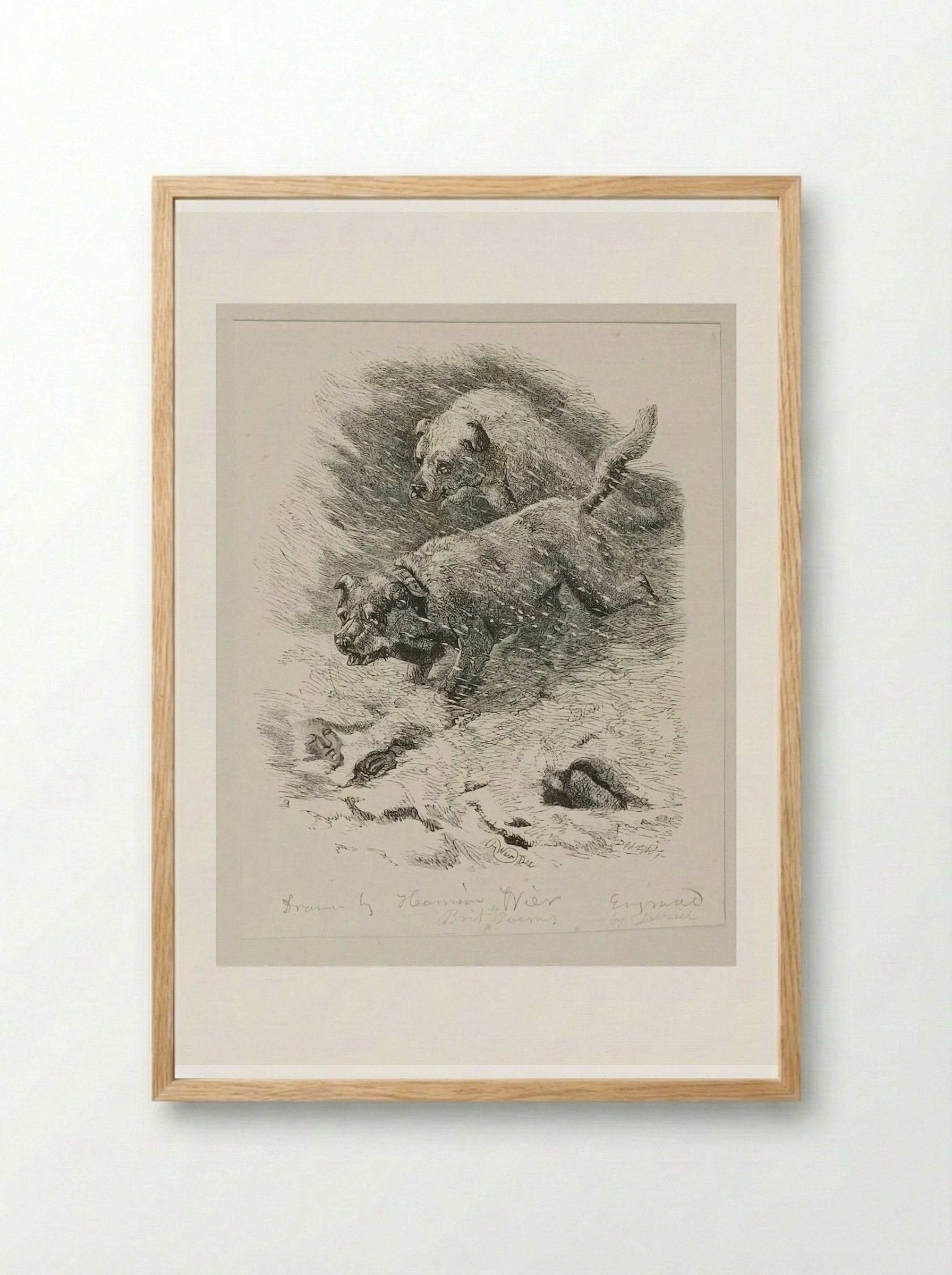 Dogs of S. Bernard - Edward Dalziel - Framed Print Wood