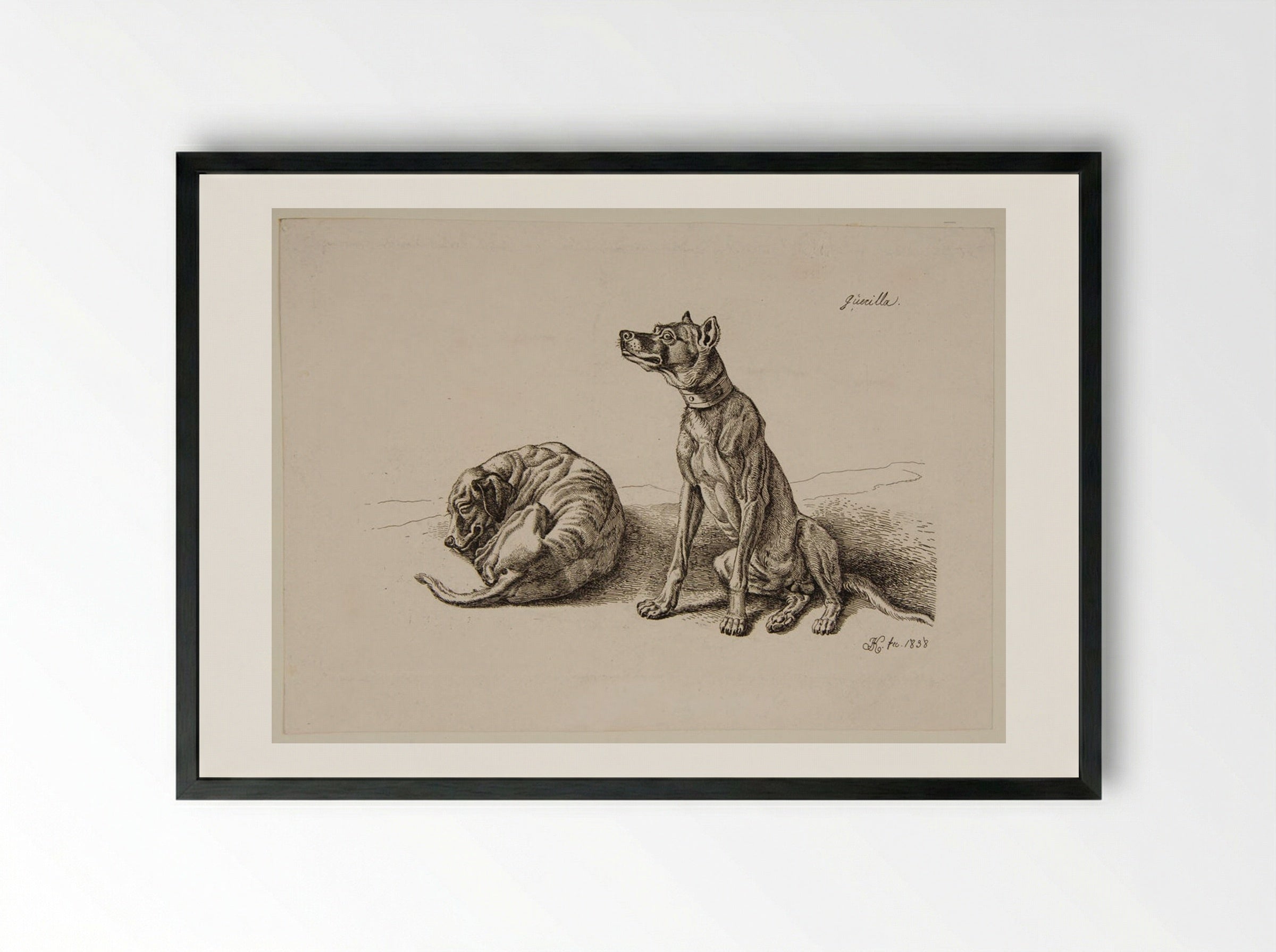 Dogs - Johann Adam Klein - Framed Print Black