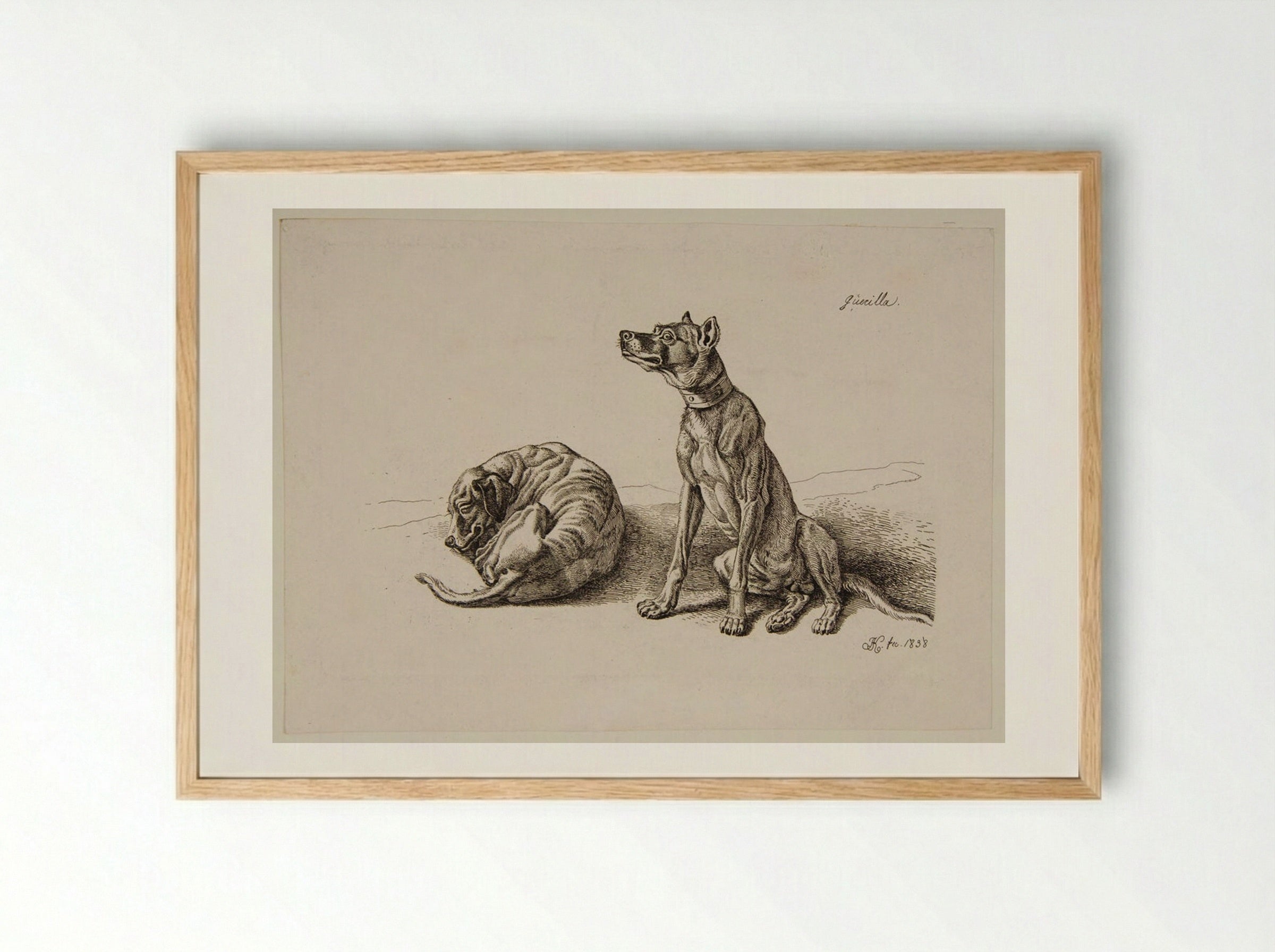 Dogs - Johann Adam Klein - Framed Print Wood