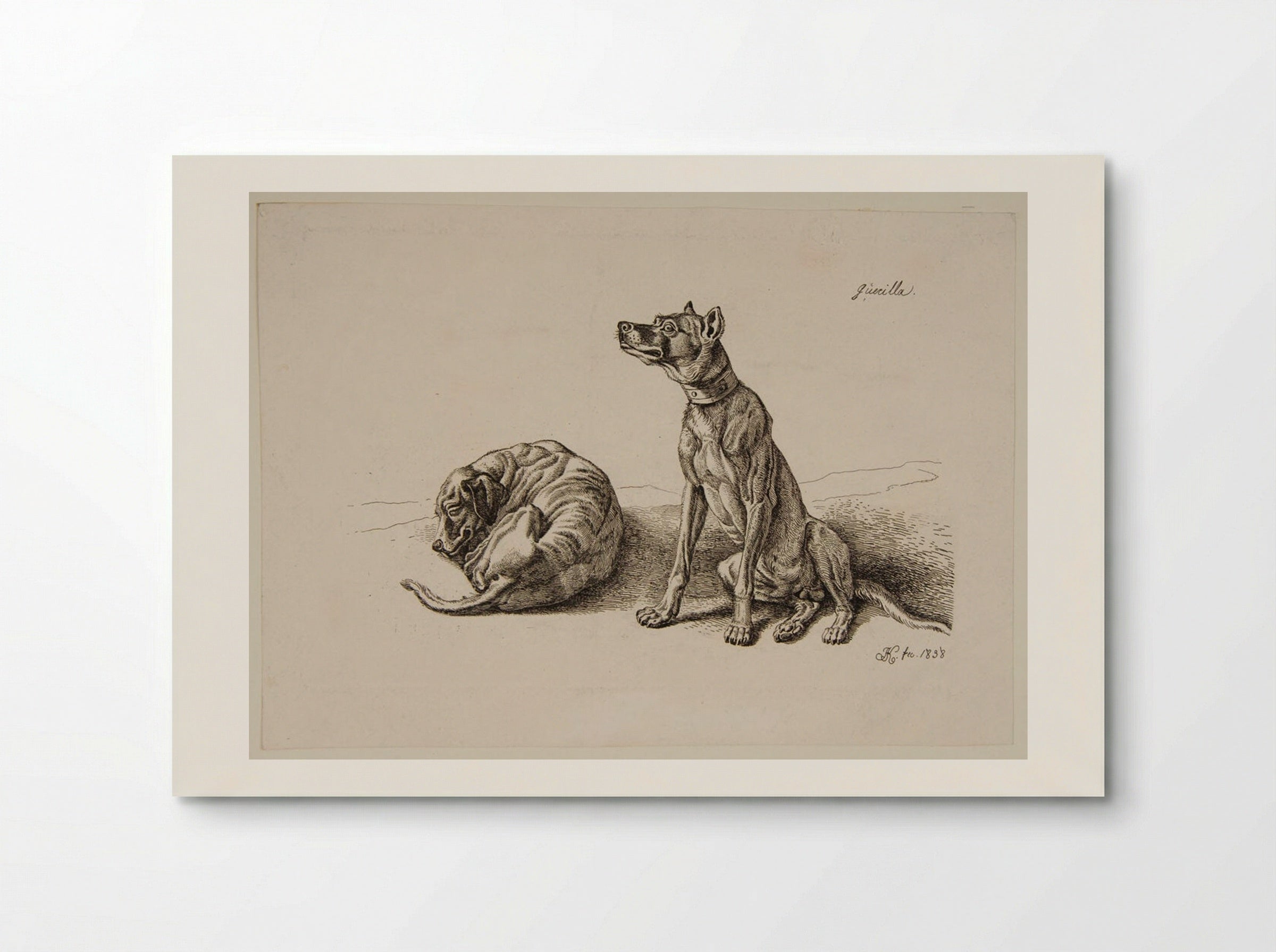 Dogs - Johann Adam Klein - Poster