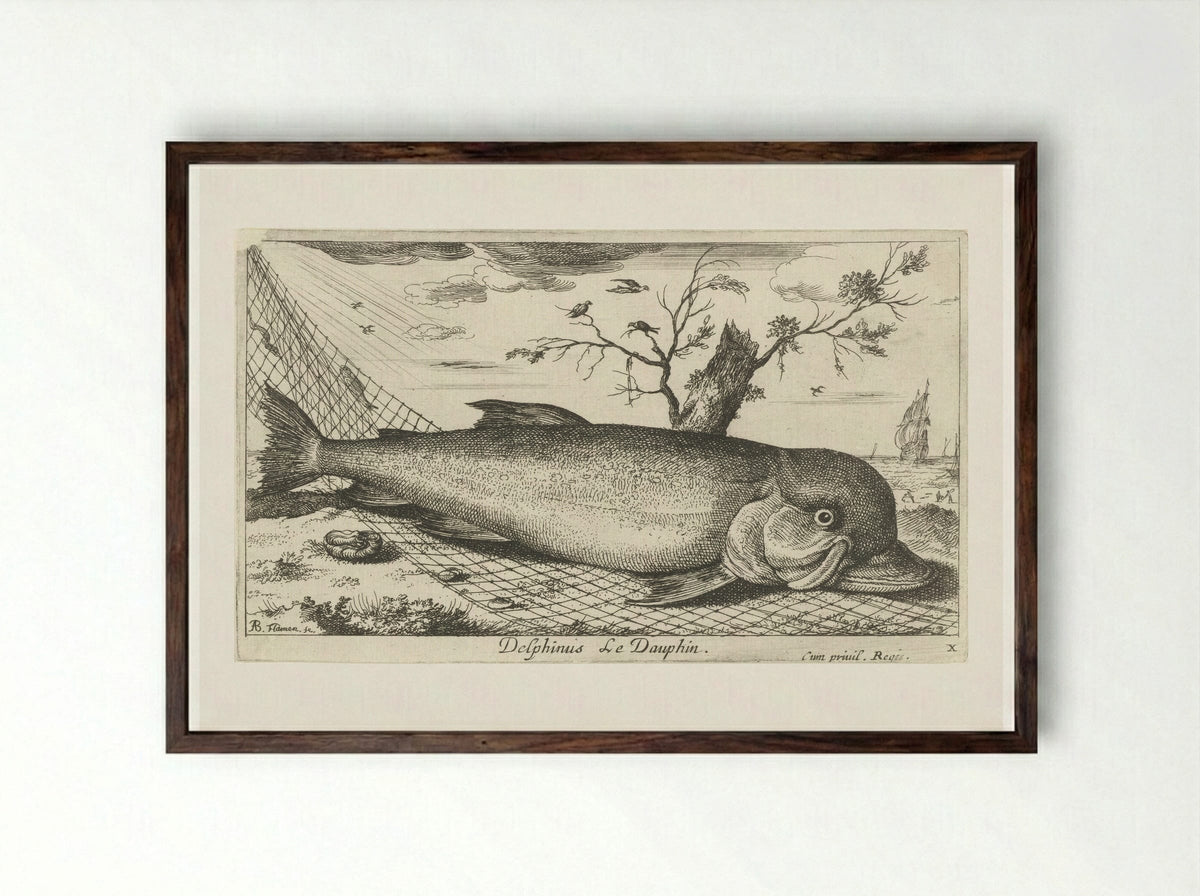 Dolfijn in een visnet - Jacques van Merlen - Framed Print Dark Wood