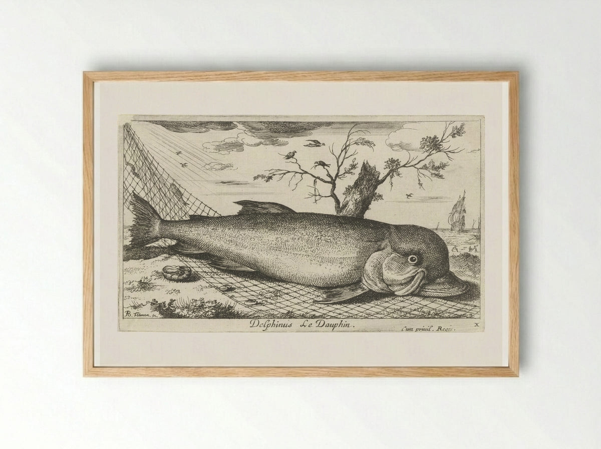 Dolfijn in een visnet - Jacques van Merlen - Framed Print Wood