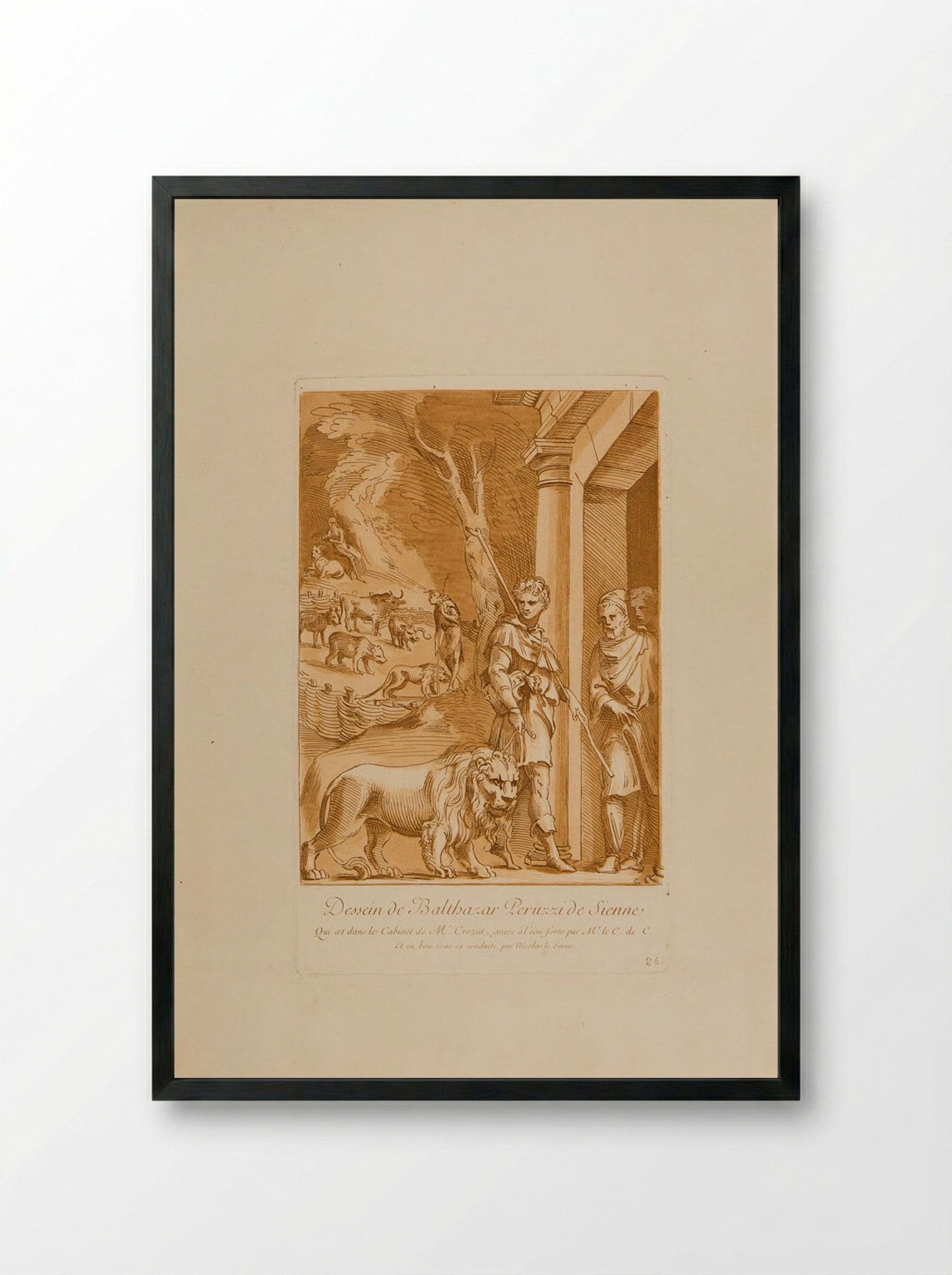 Drawing by Balthazar Peruzzi of Sienna - Anne Claude Philippe de Thubières, comte de Caylus - Framed Print Black