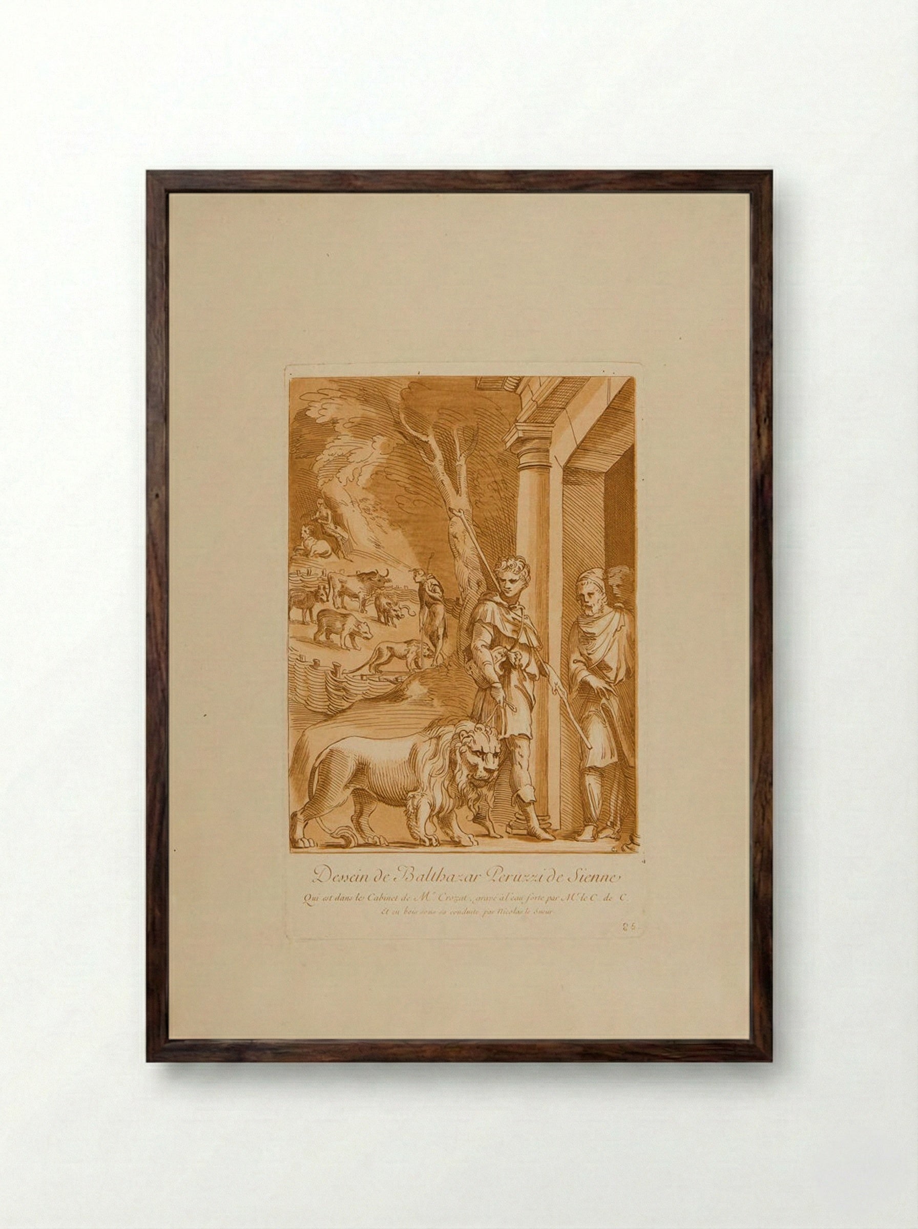 Drawing by Balthazar Peruzzi of Sienna - Anne Claude Philippe de Thubières, comte de Caylus - Framed Print Dark Wood