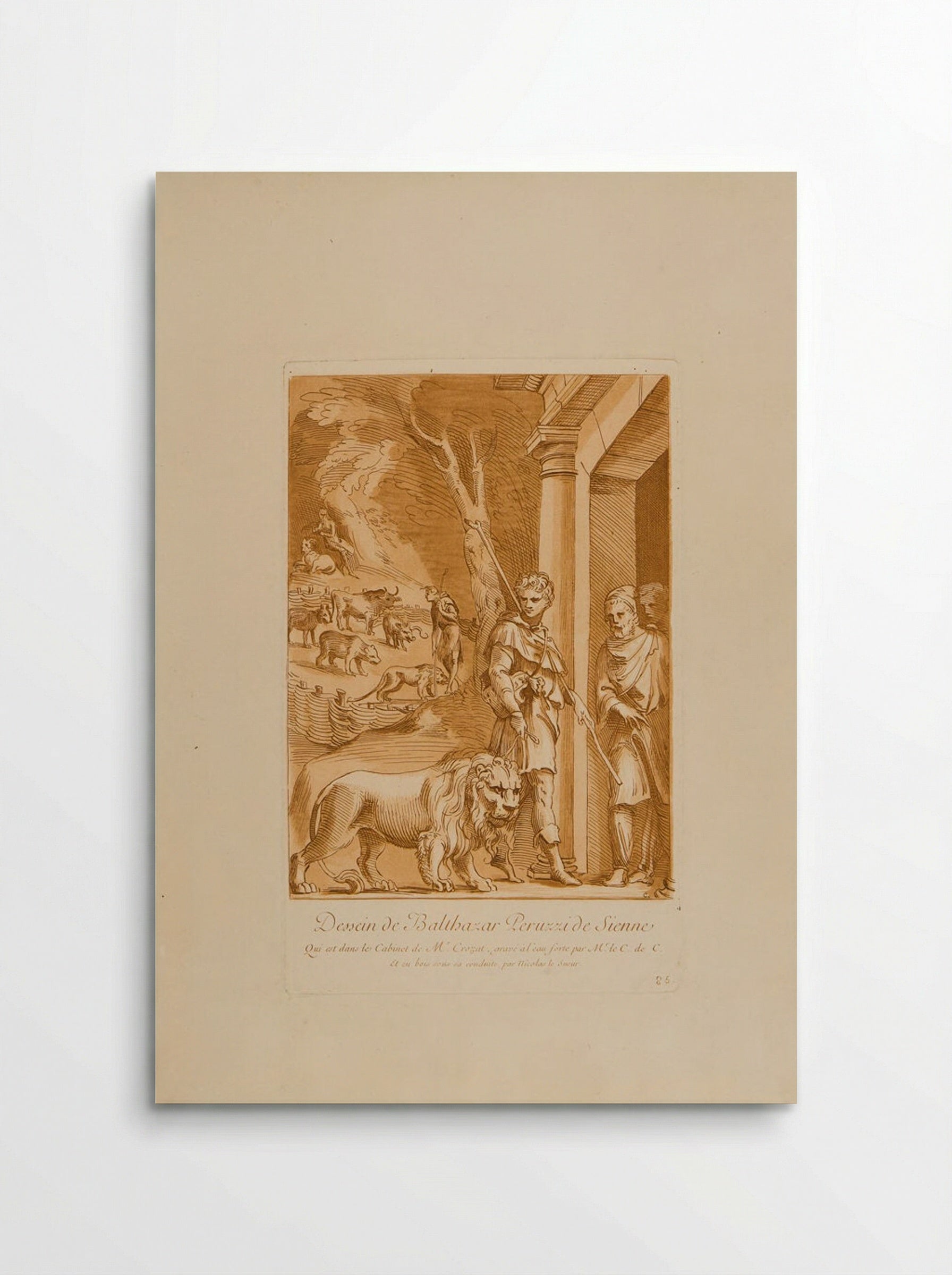Drawing by Balthazar Peruzzi of Sienna - Anne Claude Philippe de Thubières, comte de Caylus - Poster