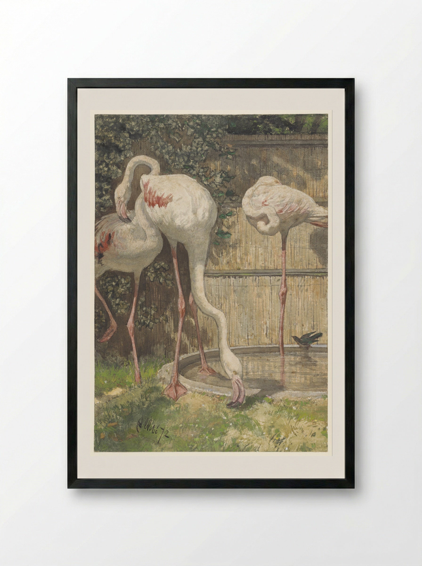 Drie flamingo's bij een bassin - August Allebé - Framed Print Black