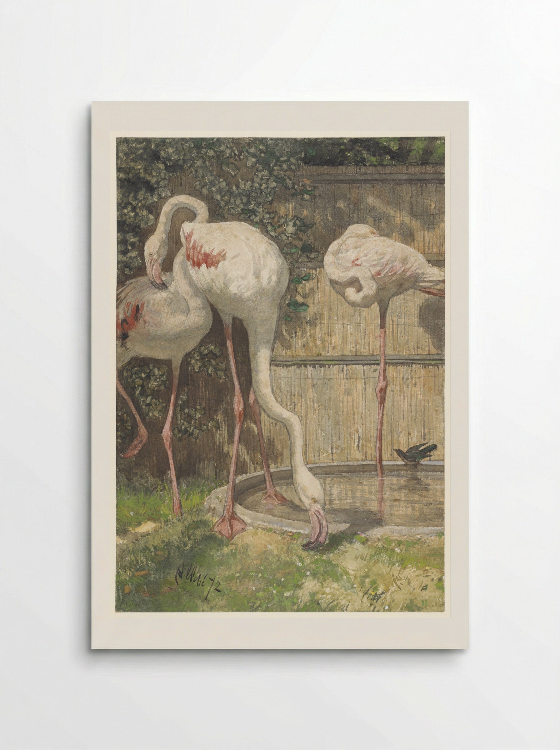 Drie flamingo's bij een bassin - August Allebé - Poster