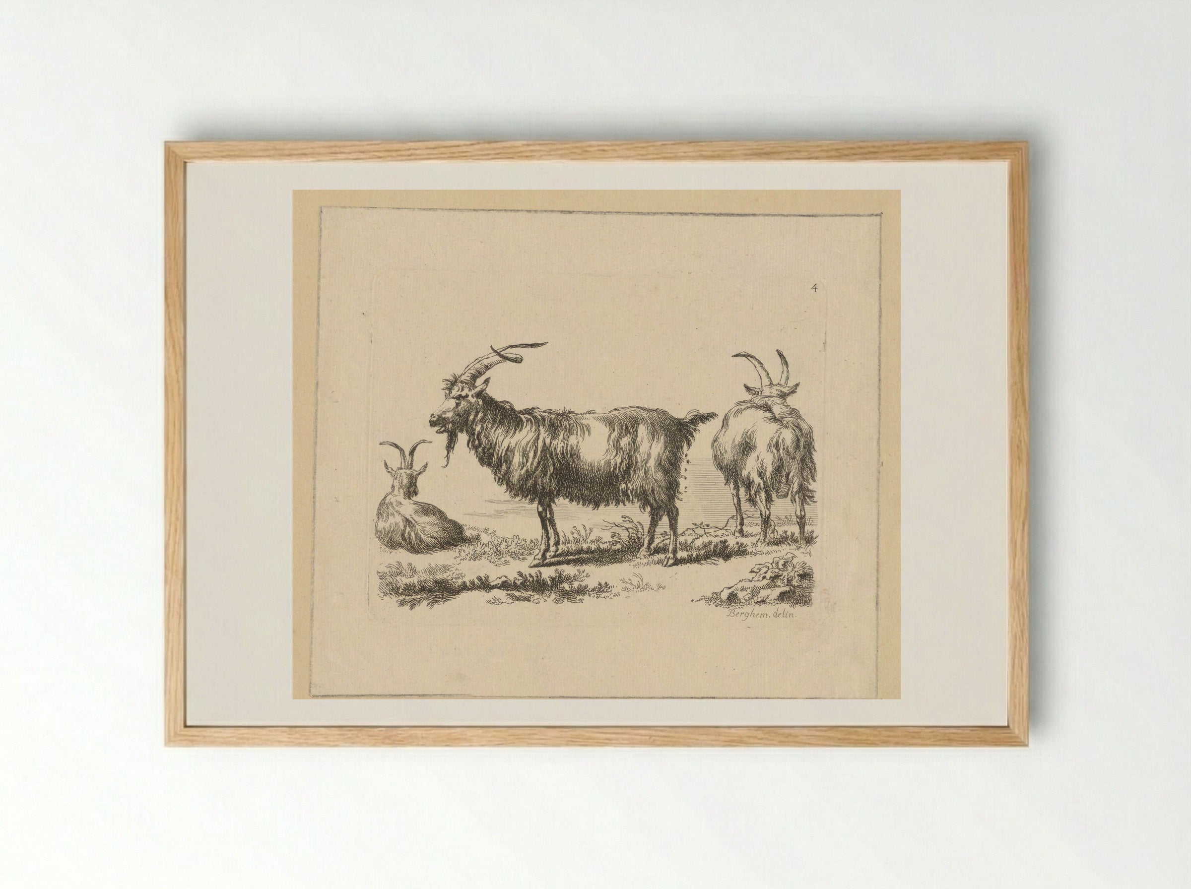 Drie geiten - François Vivares - Framed Print Wood