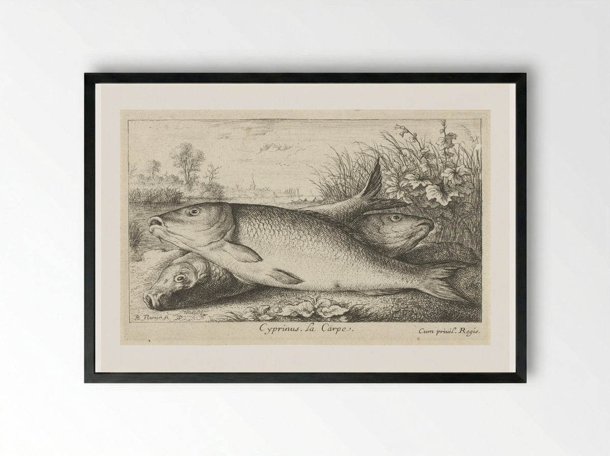 Drie karpers op een rivieroever - Jacques van Merlen - Framed Print Black