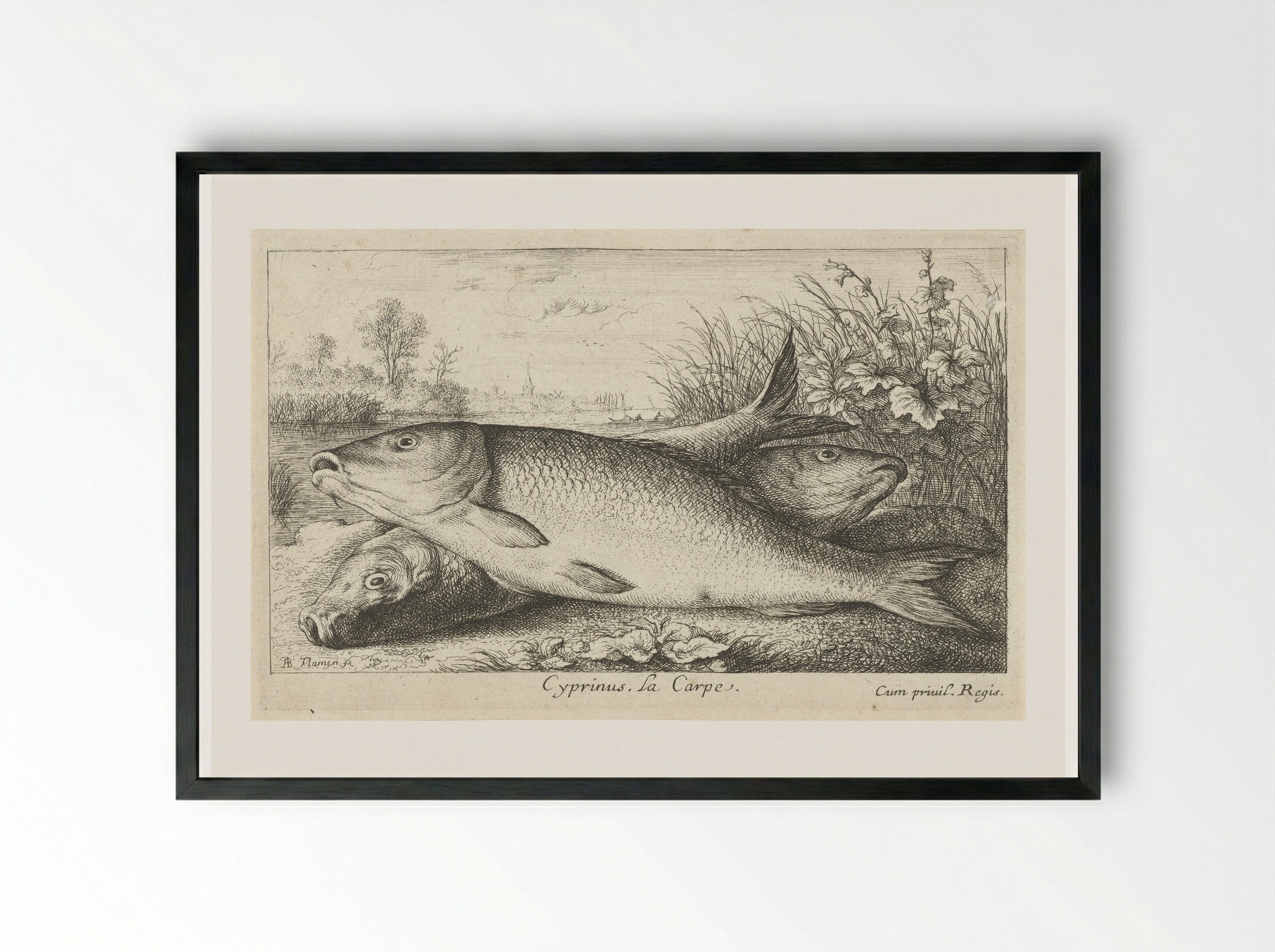 Drie karpers op een rivieroever - Jacques van Merlen - Framed Print Black