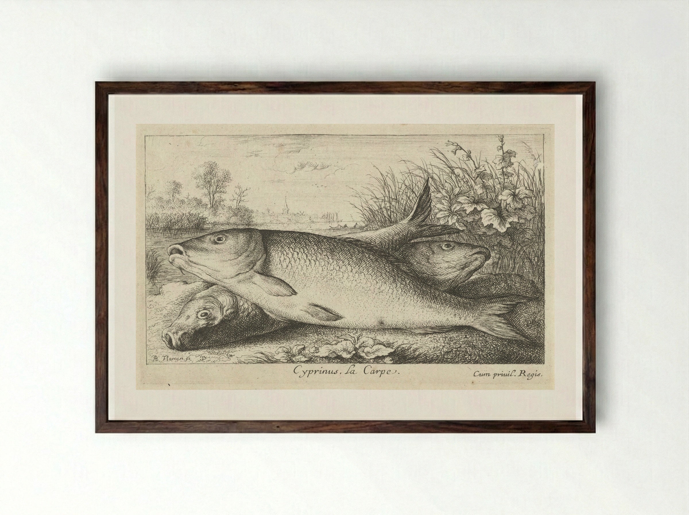 Drie karpers op een rivieroever - Jacques van Merlen - Framed Print Dark Wood
