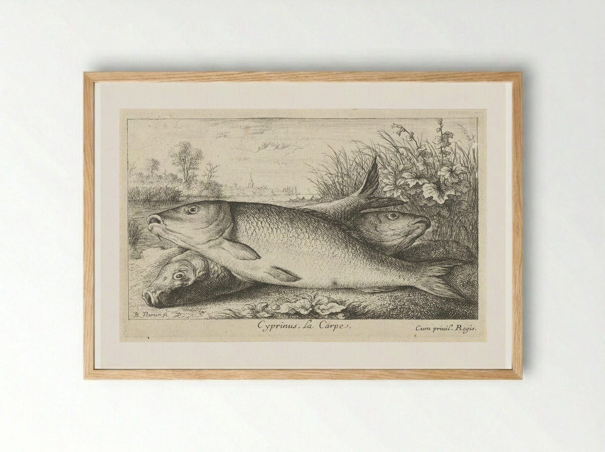 Drie karpers op een rivieroever - Jacques van Merlen - Framed Print Wood