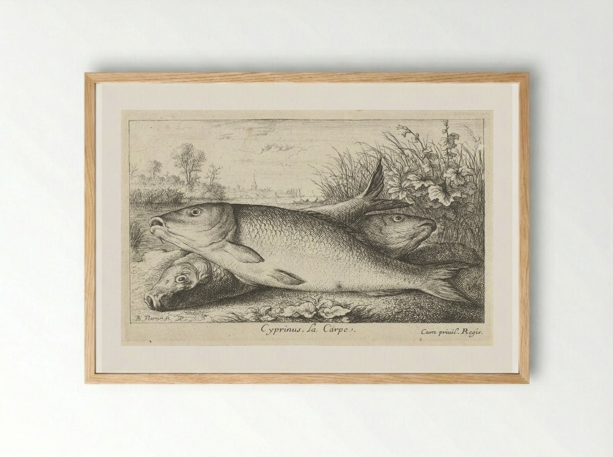 Drie karpers op een rivieroever - Jacques van Merlen - Framed Print Wood