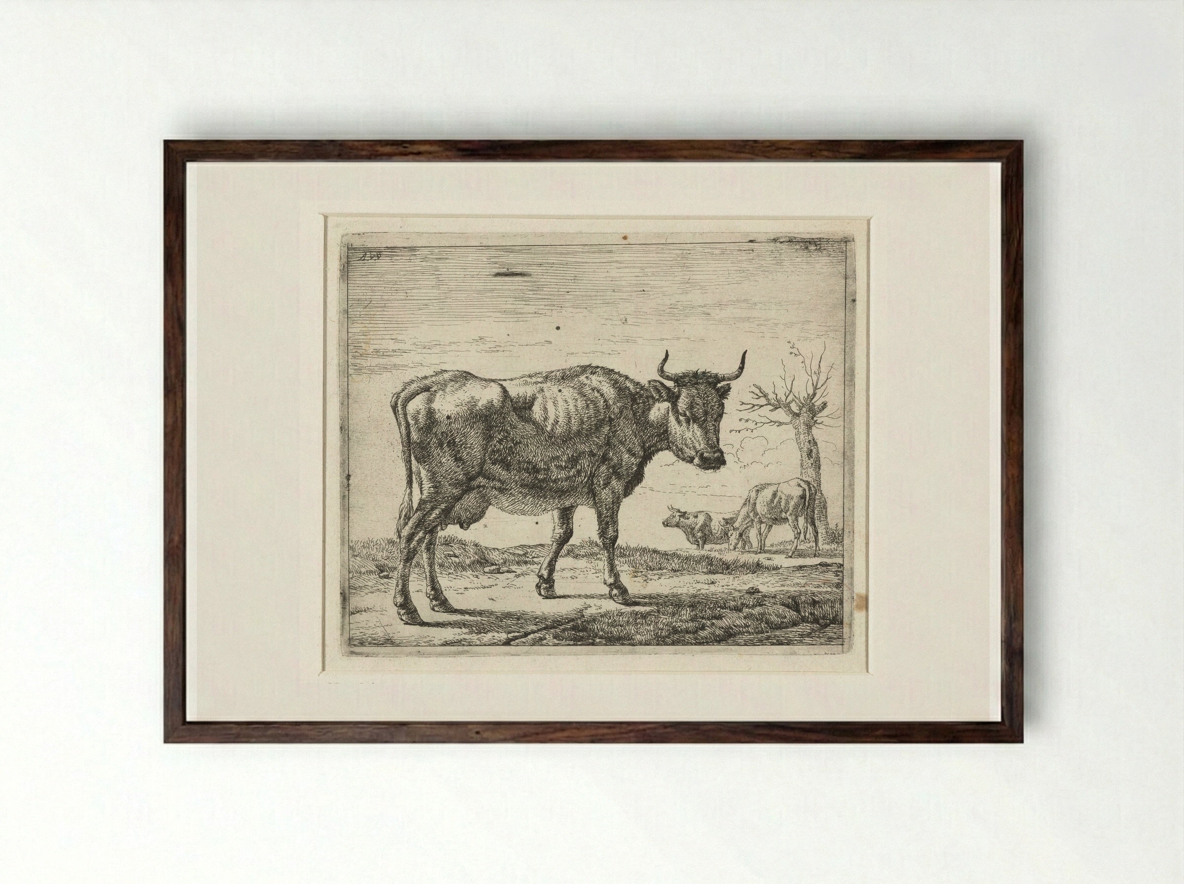 Drie koeien - Adriaen van de Velde - Framed Print Dark Wood