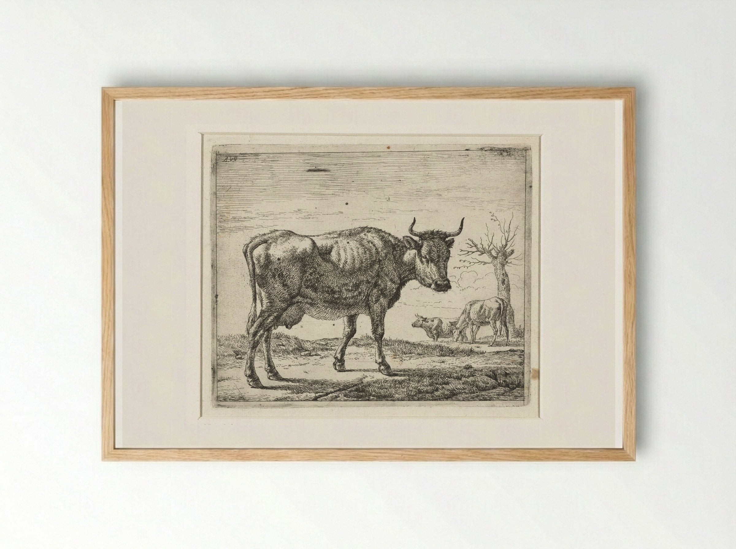 Drie koeien - Adriaen van de Velde - Framed Print Wood