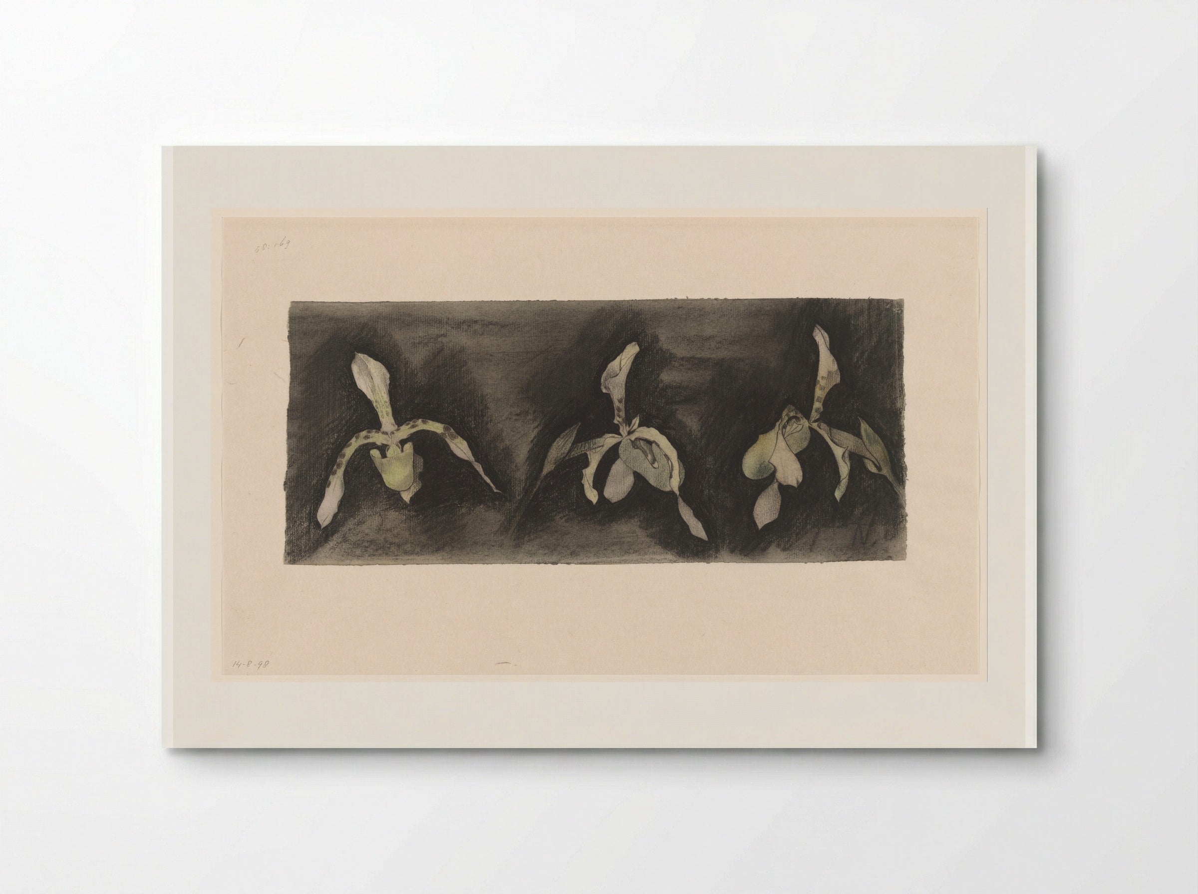 Drie orchideeën (Three Orchids) - Theo Nieuwenhuis - Poster