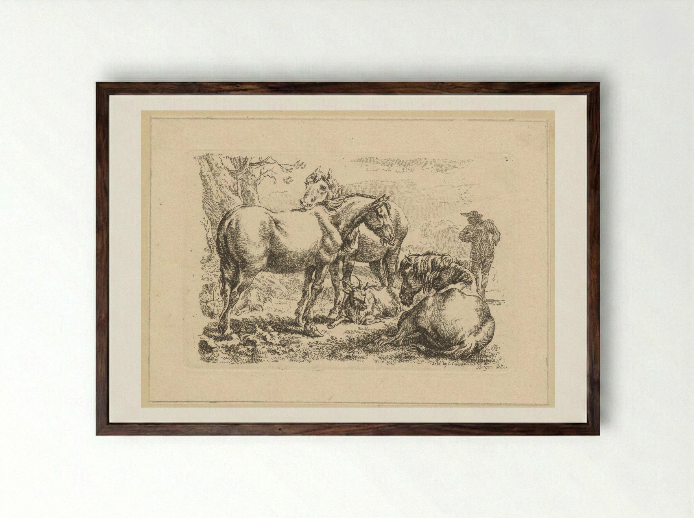 Drie paarden een geit - François Vivares - Framed Print Dark Wood