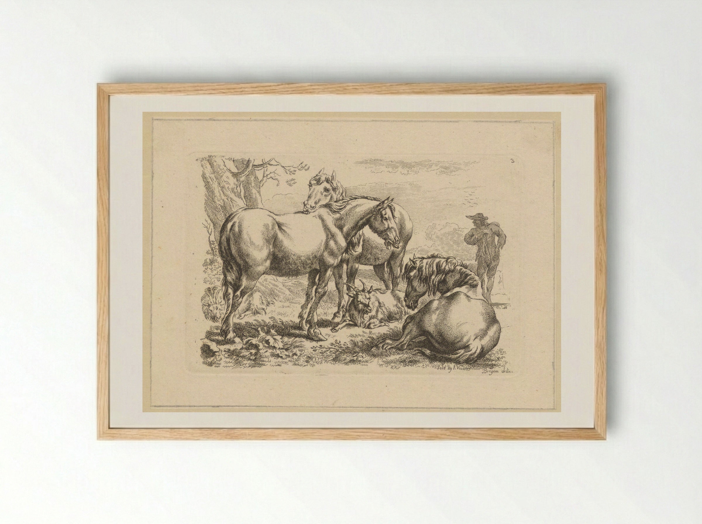 Drie paarden een geit - François Vivares - Framed Print Wood
