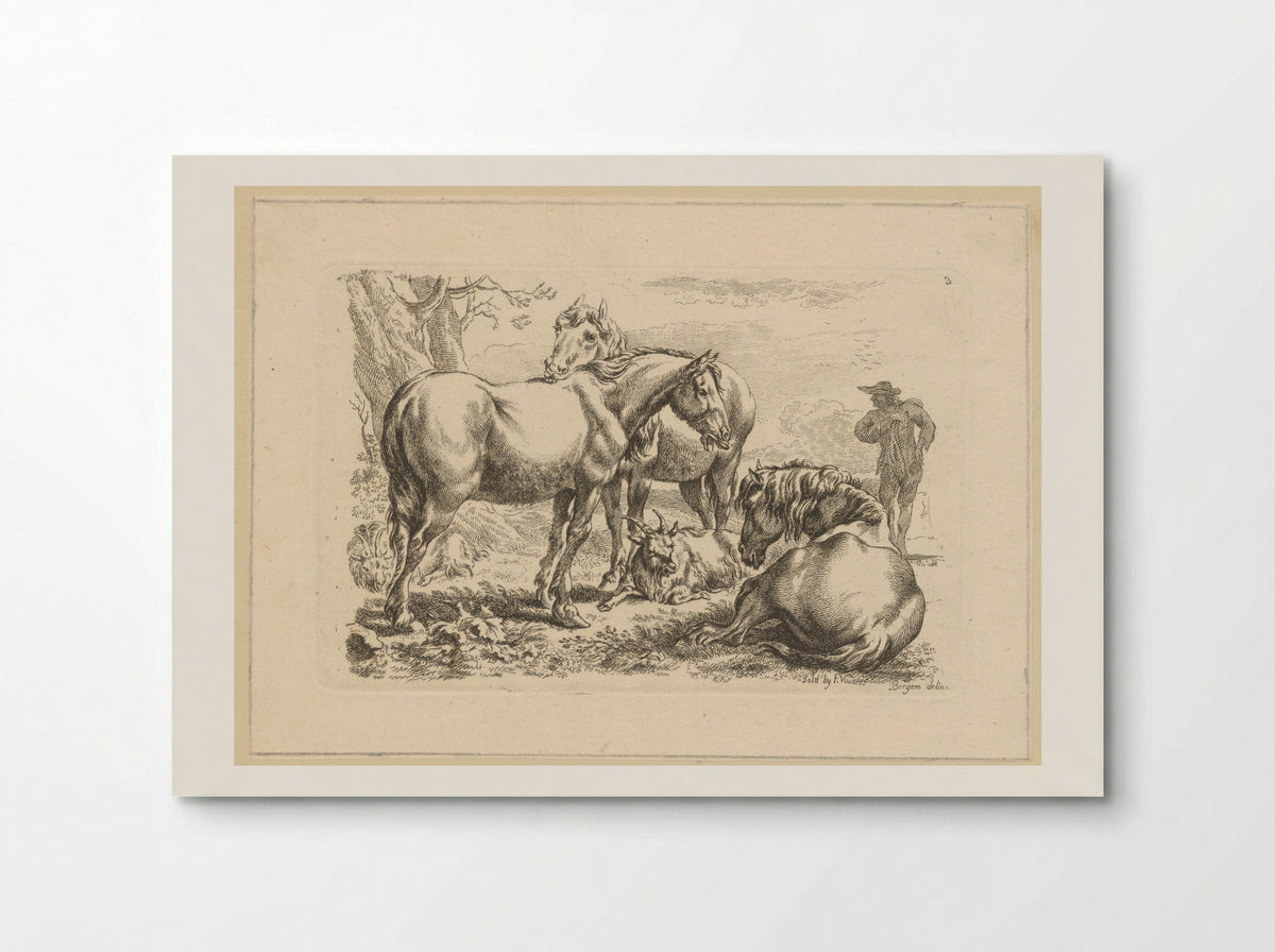 Drie paarden een geit - François Vivares - Poster