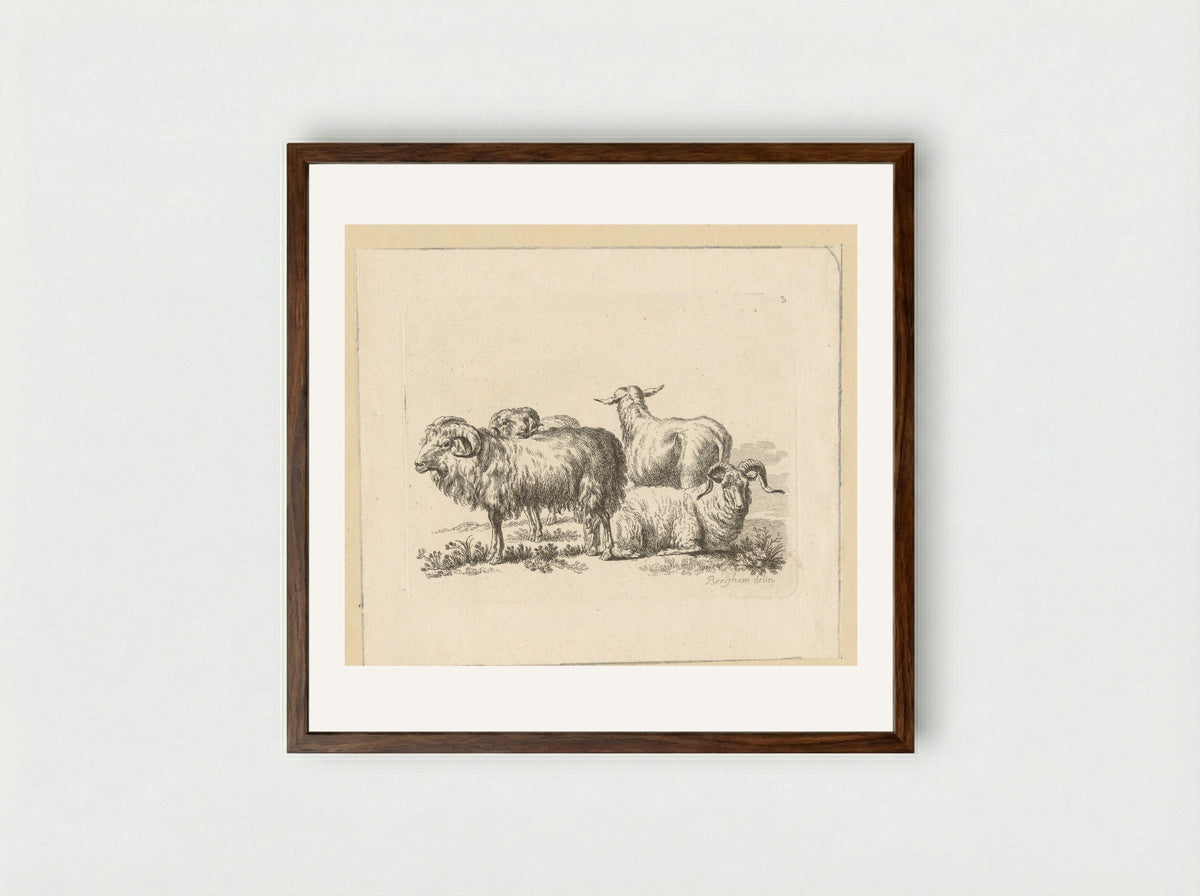 Drie rammen en een schaap - François Vivares - Framed Print Dark Wood