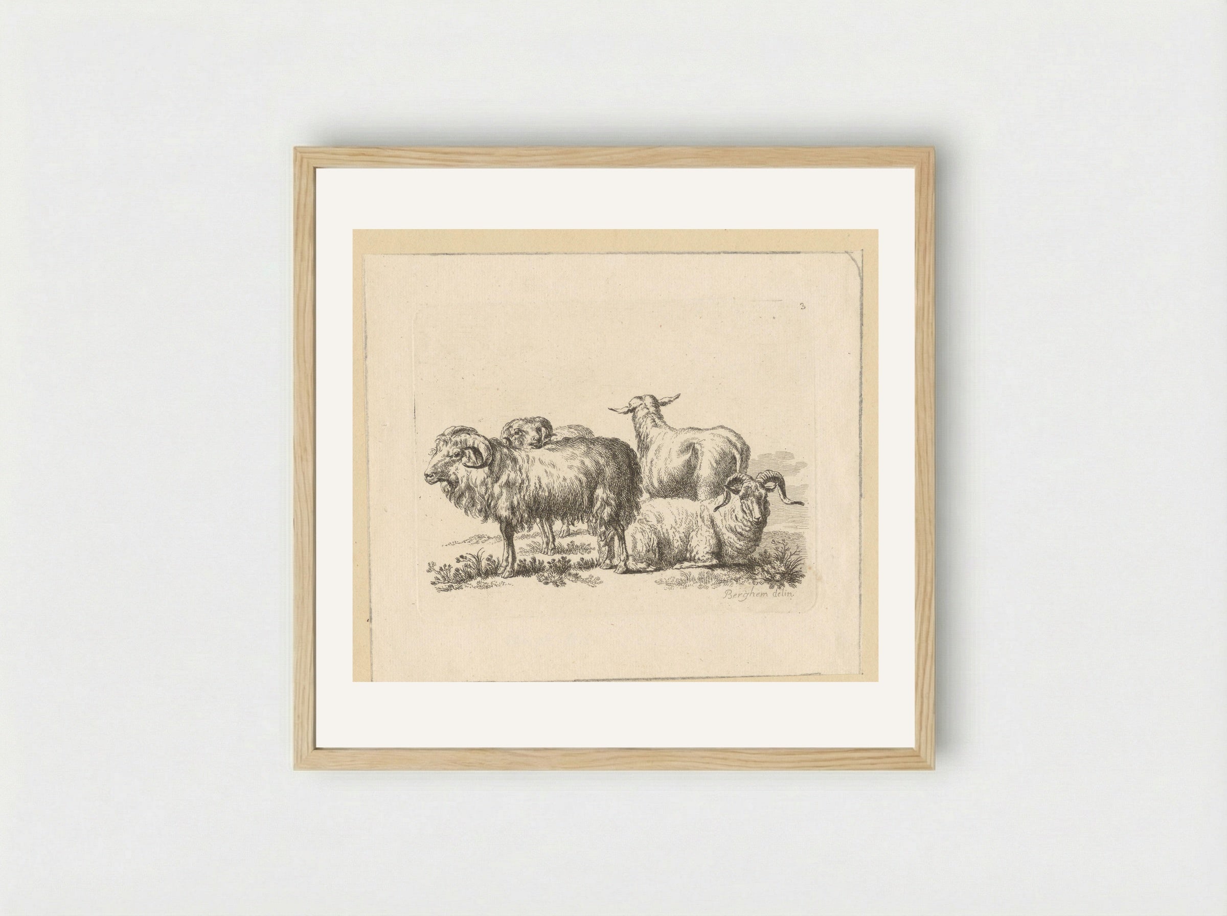 Drie rammen en een schaap - François Vivares - Framed Print Wood