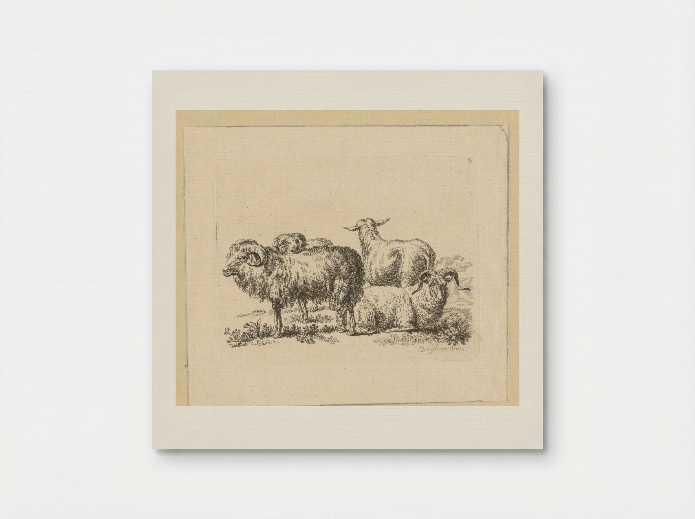 Drie rammen en een schaap - François Vivares - Poster