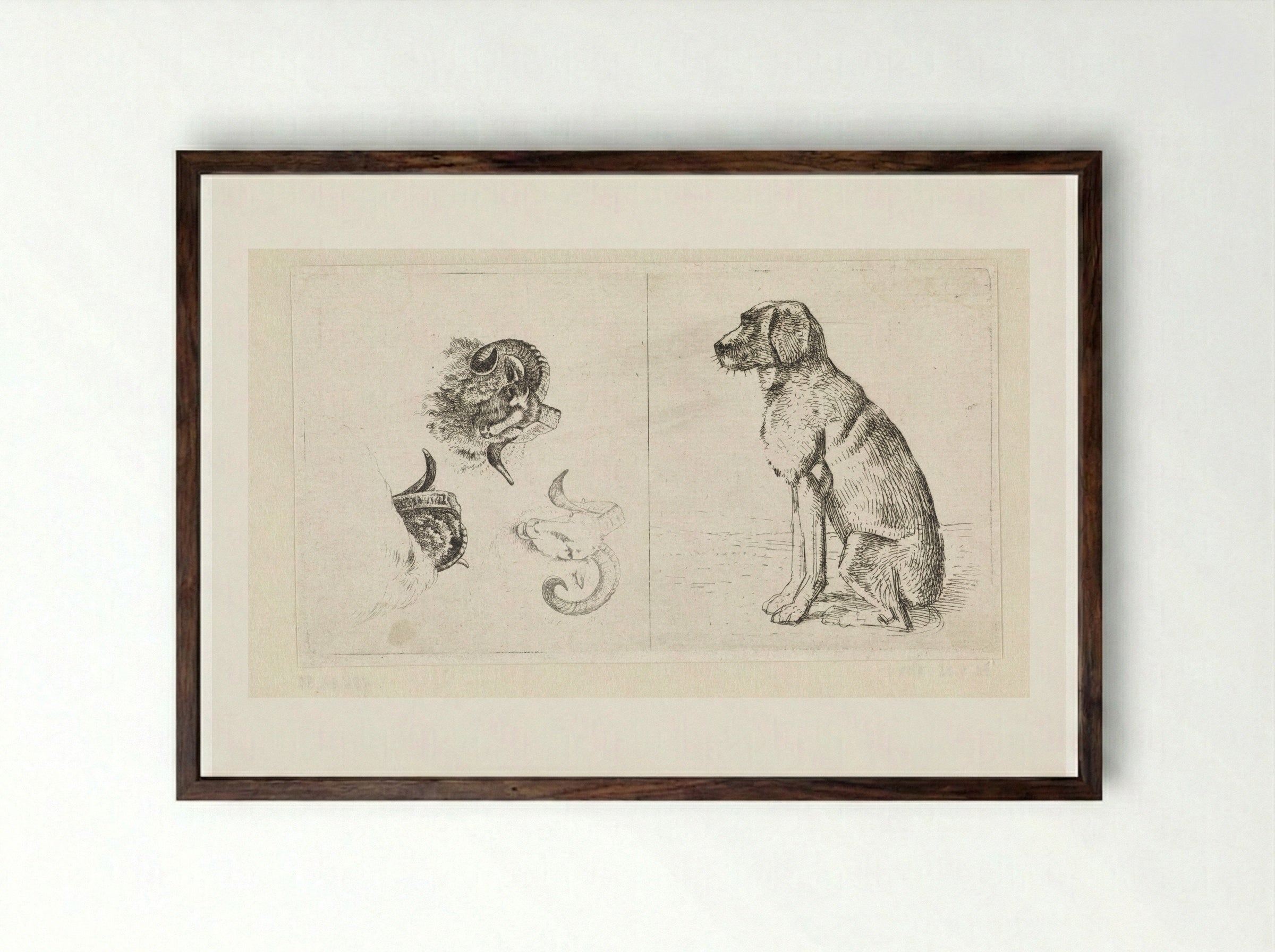 Drie ramskoppen / Zittende hond - Wouter Johannes van Troostwijk - Framed Print Dark Wood