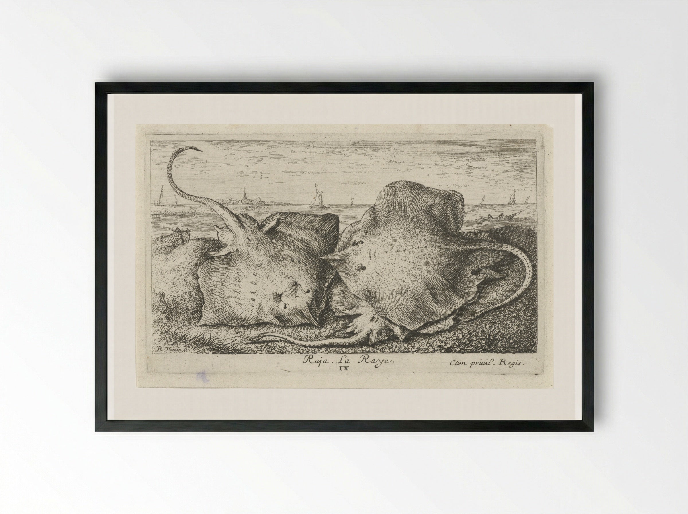 Drie roggen op het strand - Albert Flamen - Framed Print Black