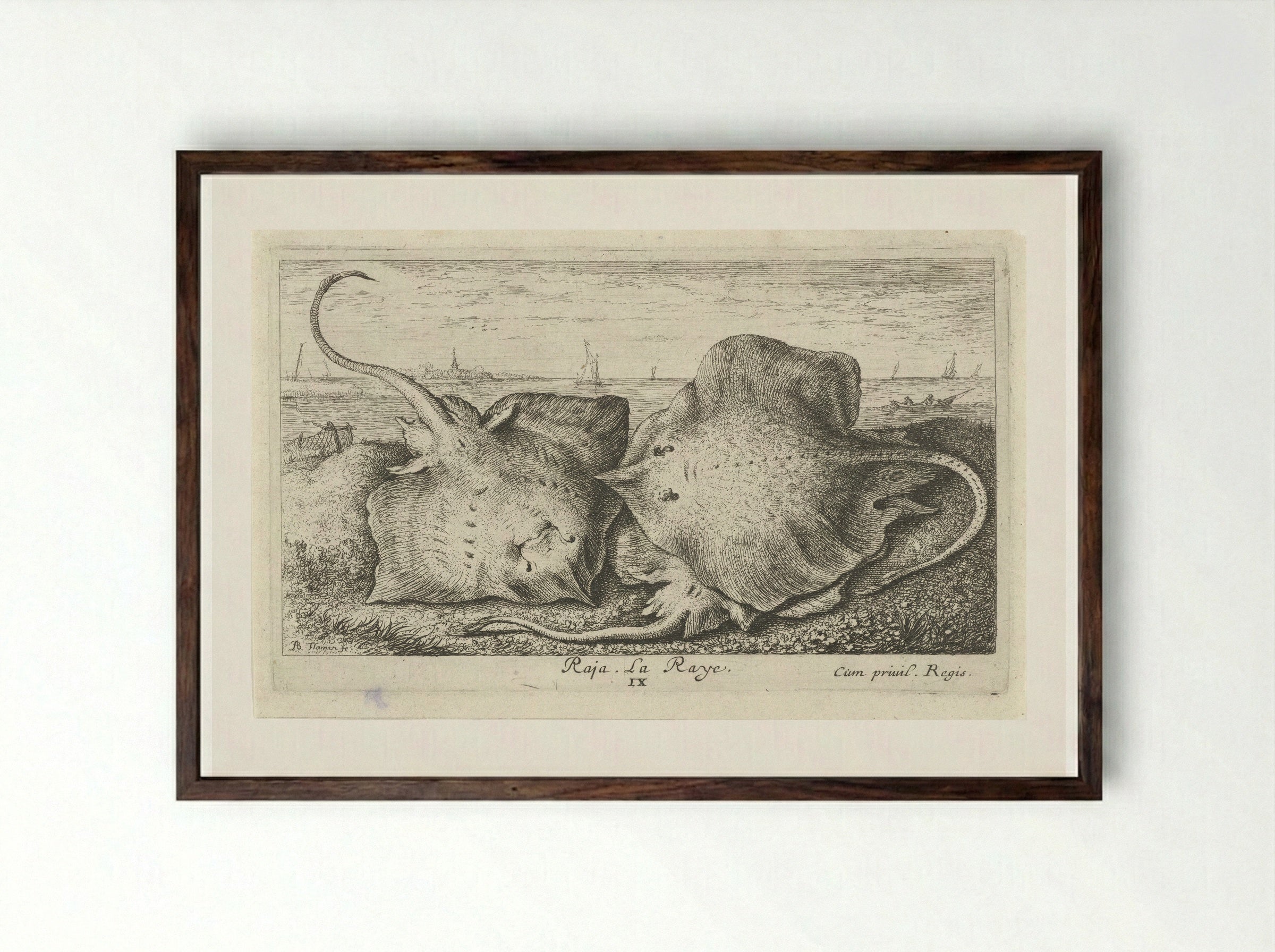 Drie roggen op het strand - Albert Flamen - Framed Print Dark Wood