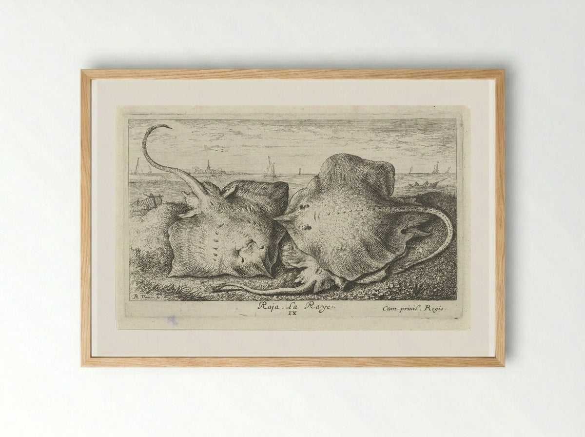 Drie roggen op het strand - Albert Flamen - Framed Print Wood
