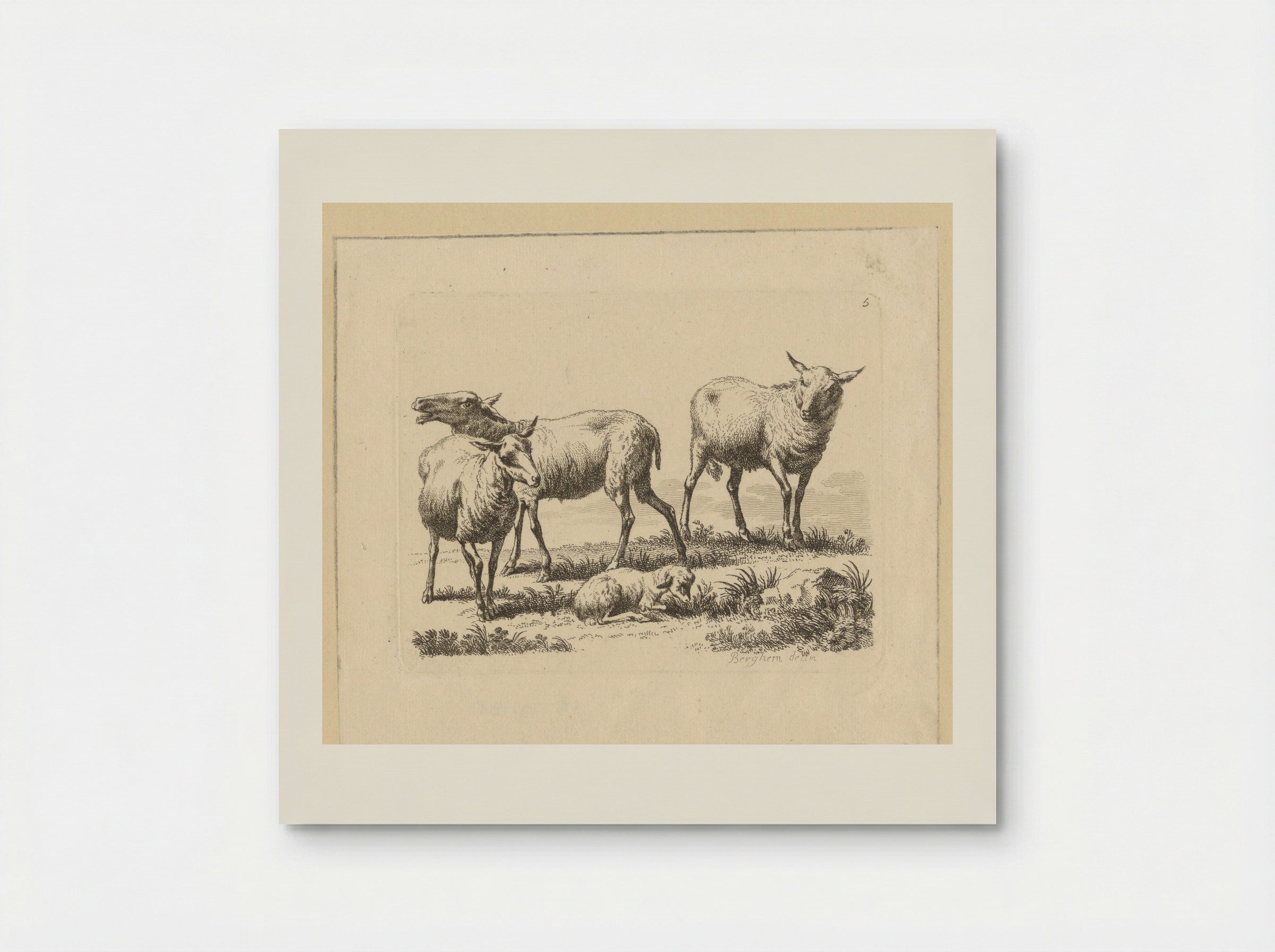 Drie schapen en een lam - François Vivares - Poster