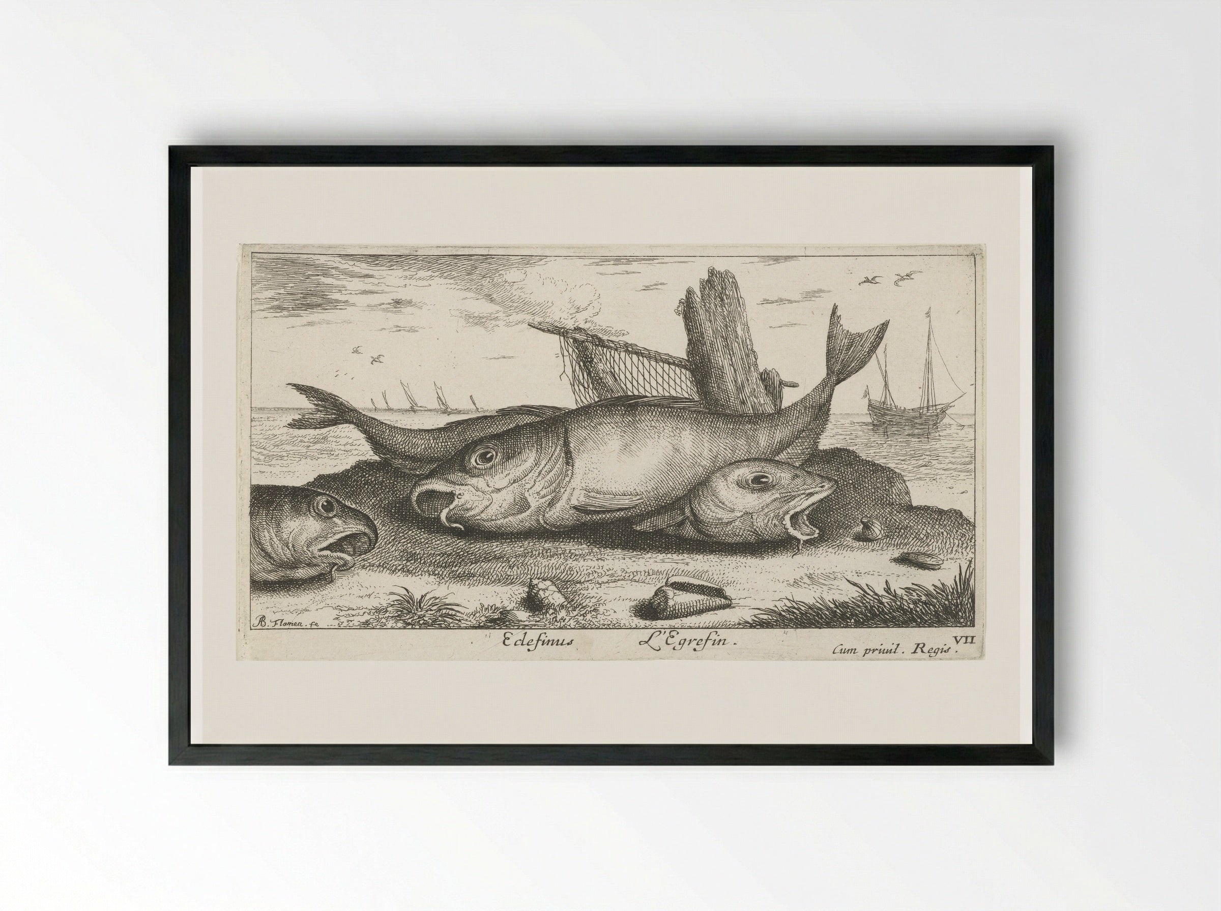 Drie schelvissen op het strand - Albert Flamen - Framed Print Black